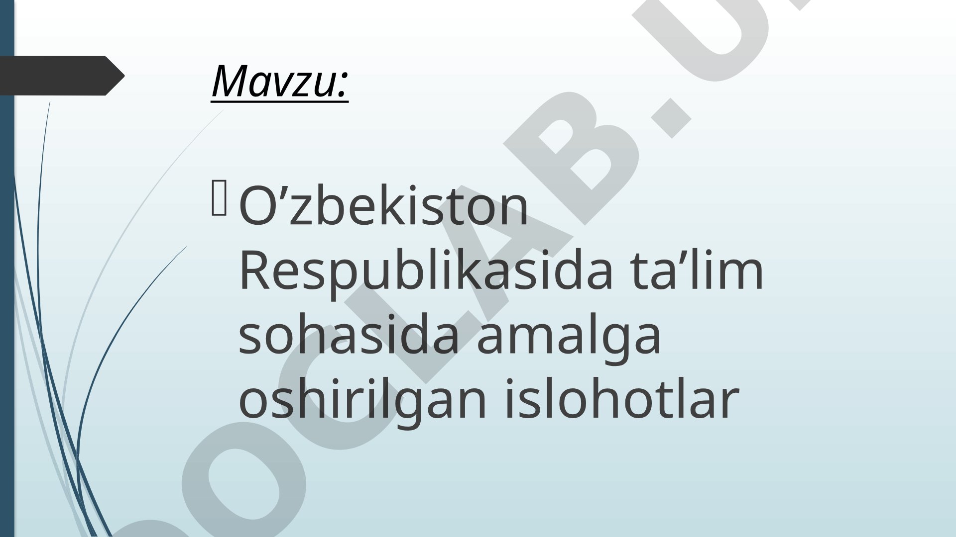 Ta'lim Islohotlari Rejasi