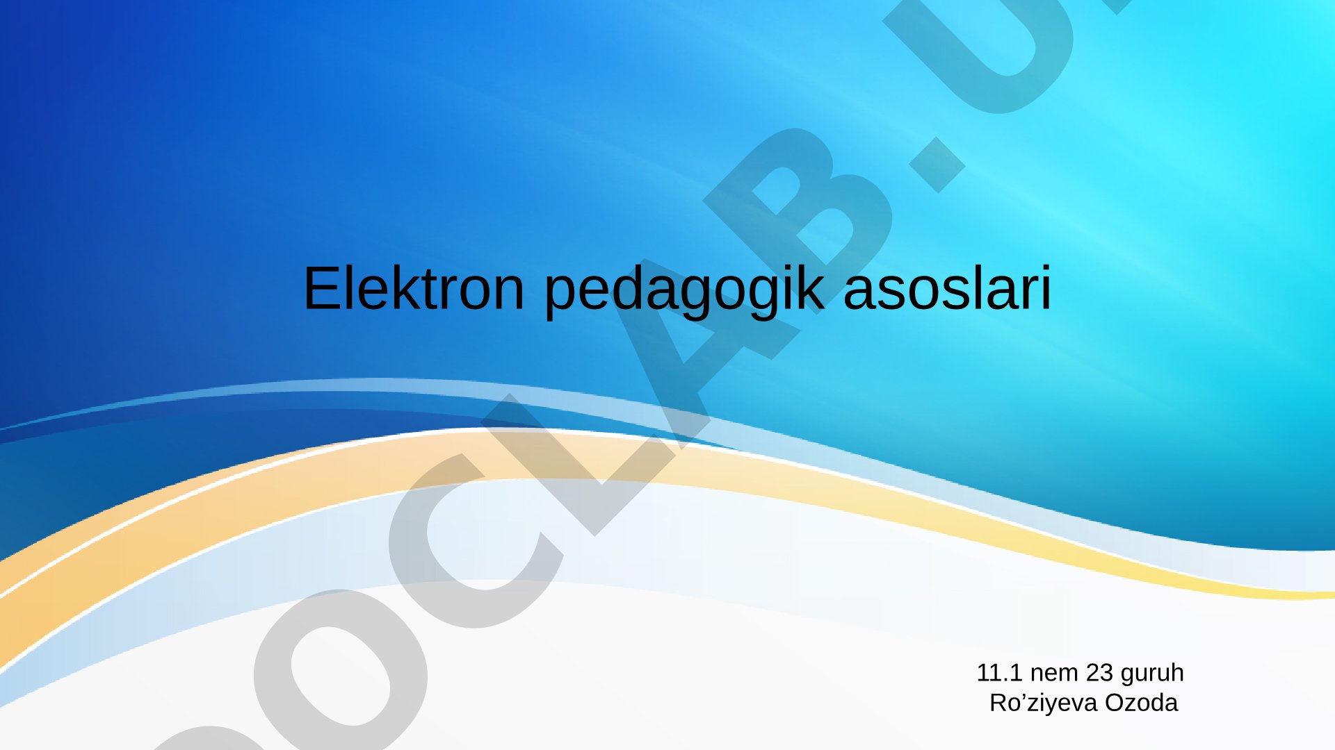 Elektron pedagogika rejasi