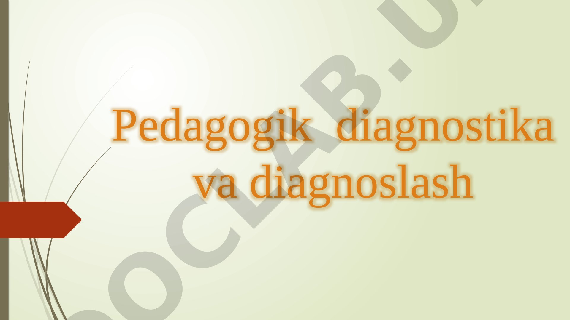 Pedagogik Diagnostika