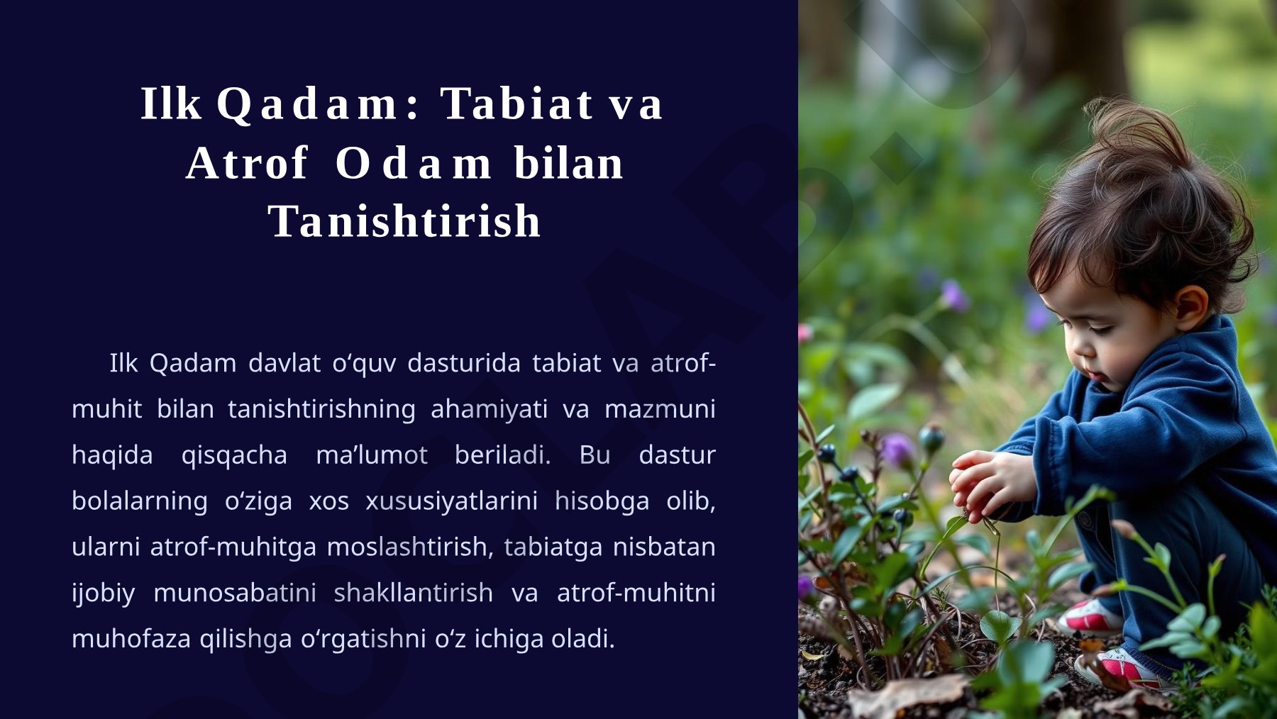 Tabiat va Atrof-Muhitni O'rganish Dasturi