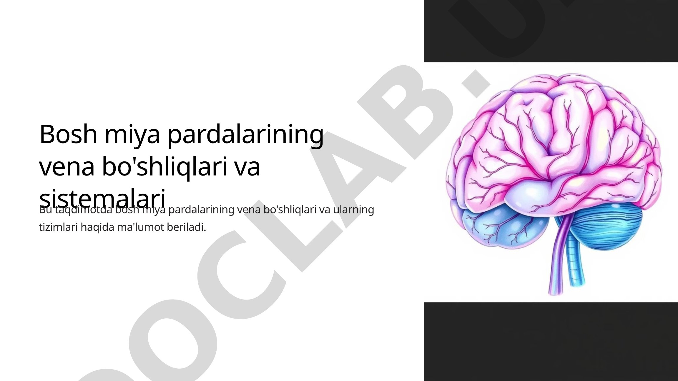 Bosh miya pardalarining vena bo'shliqlari
