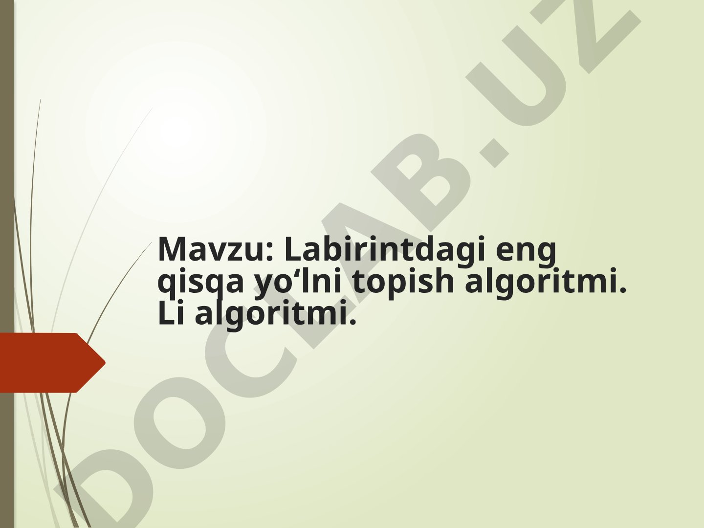 Labirint Algoritmlari Qo'llanmasi