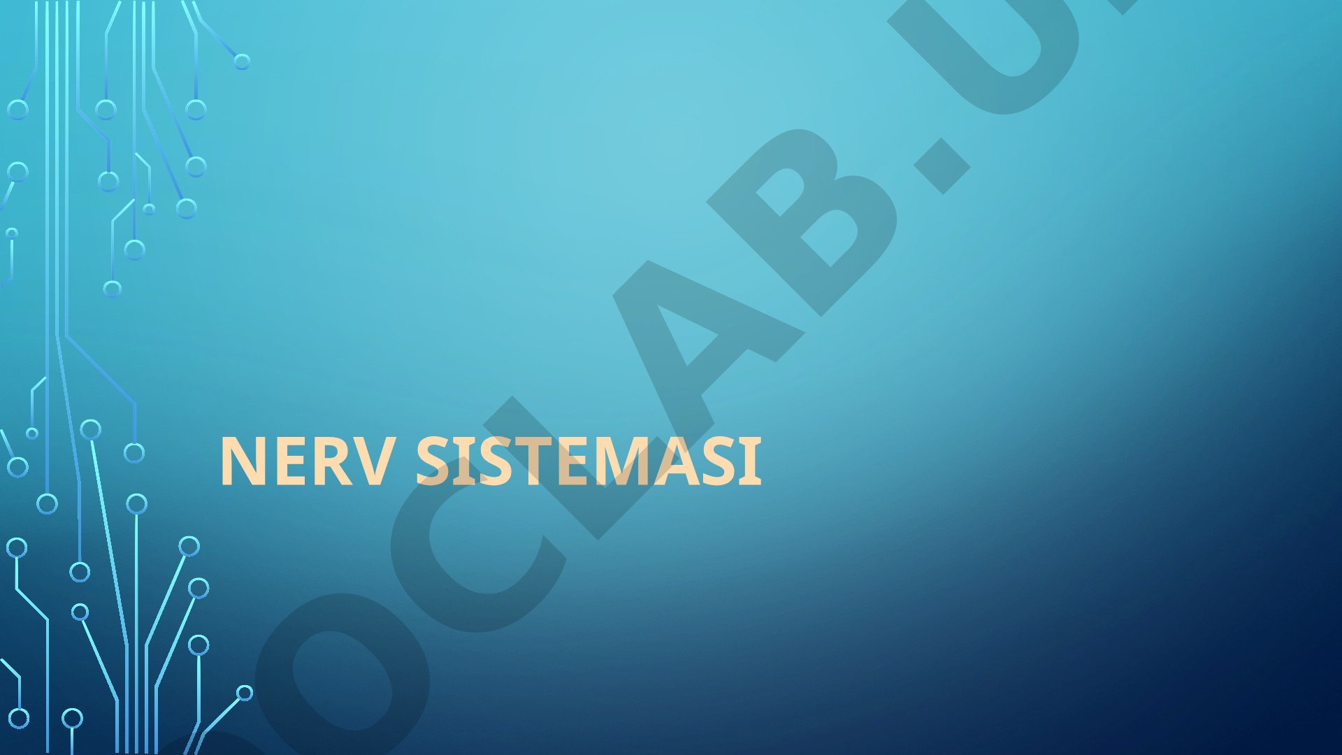 Nerv Sistemasi