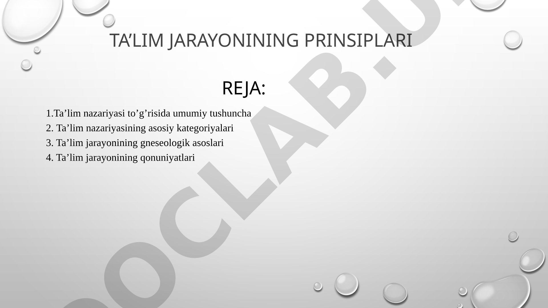 Ta'lim Nazariyasi Rejasi
