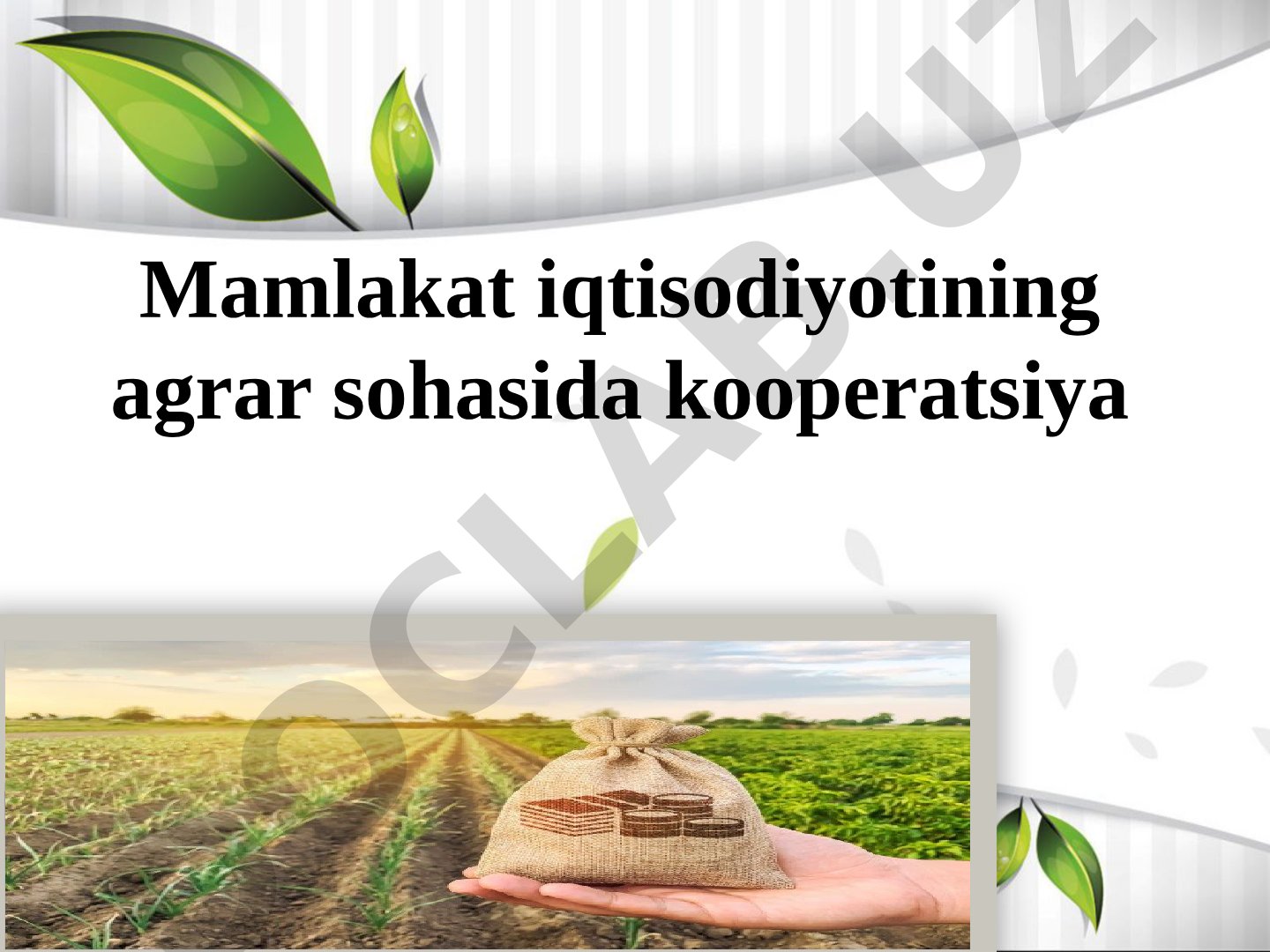 Agrar Kooperatsiya Tadqiqoti