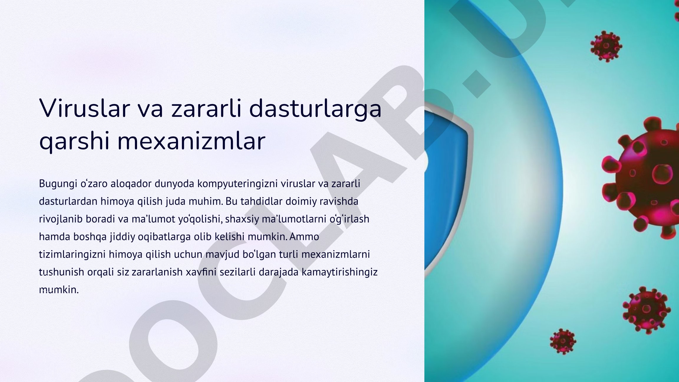 Viruslarga qarshi himoya qo'llanmasi