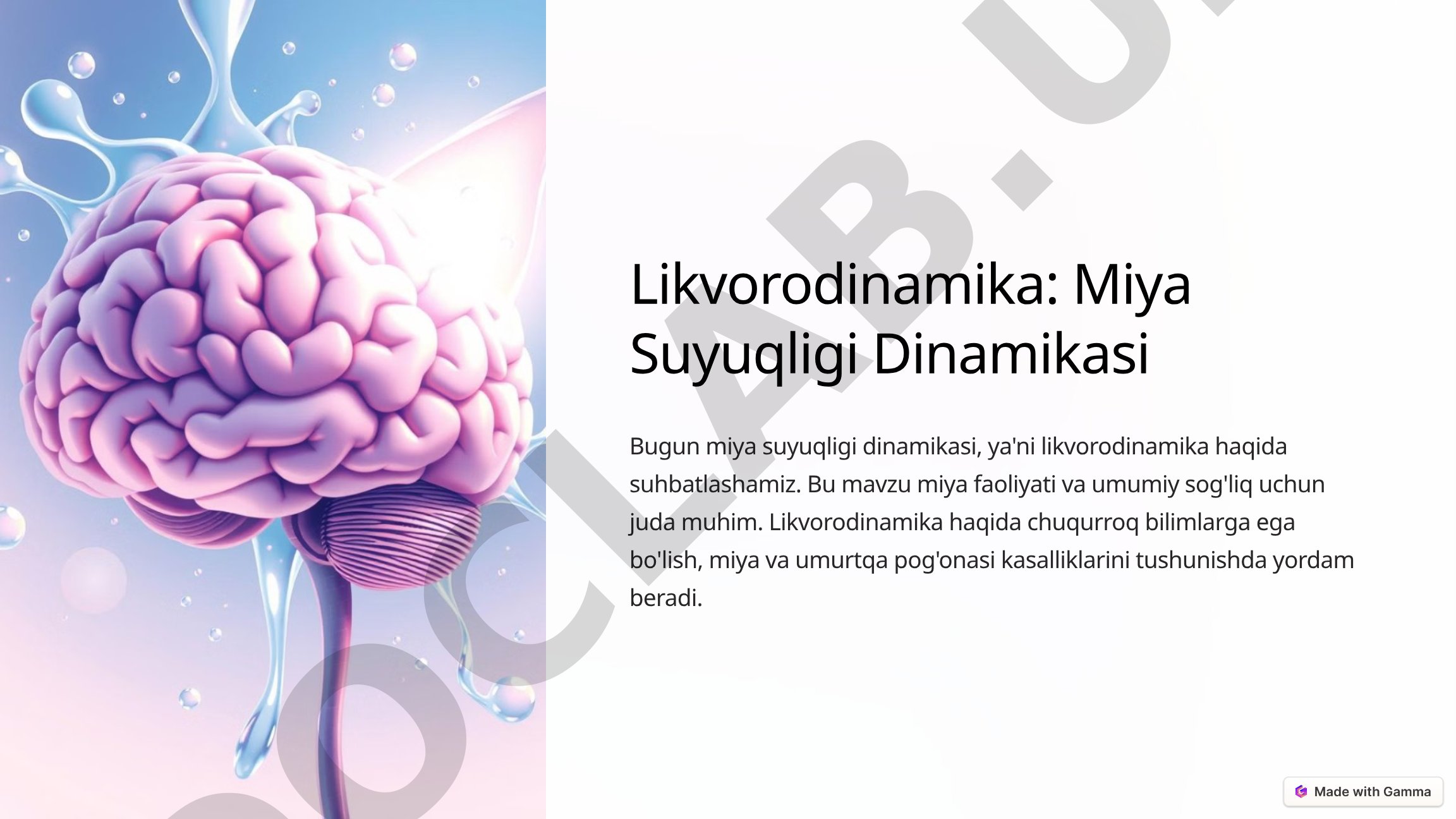Likvorodinamika Qo'llanmasi
