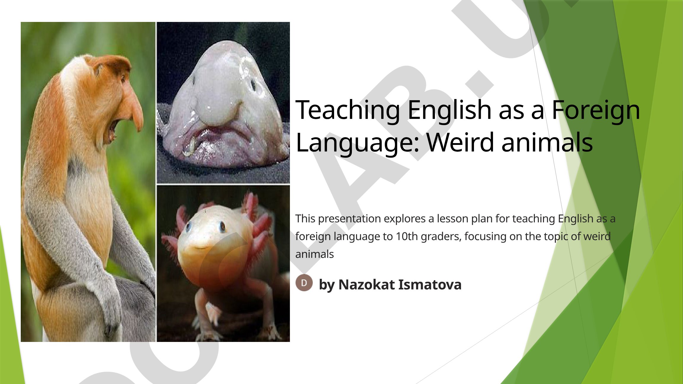 Weird Animals English Lesson Presentation