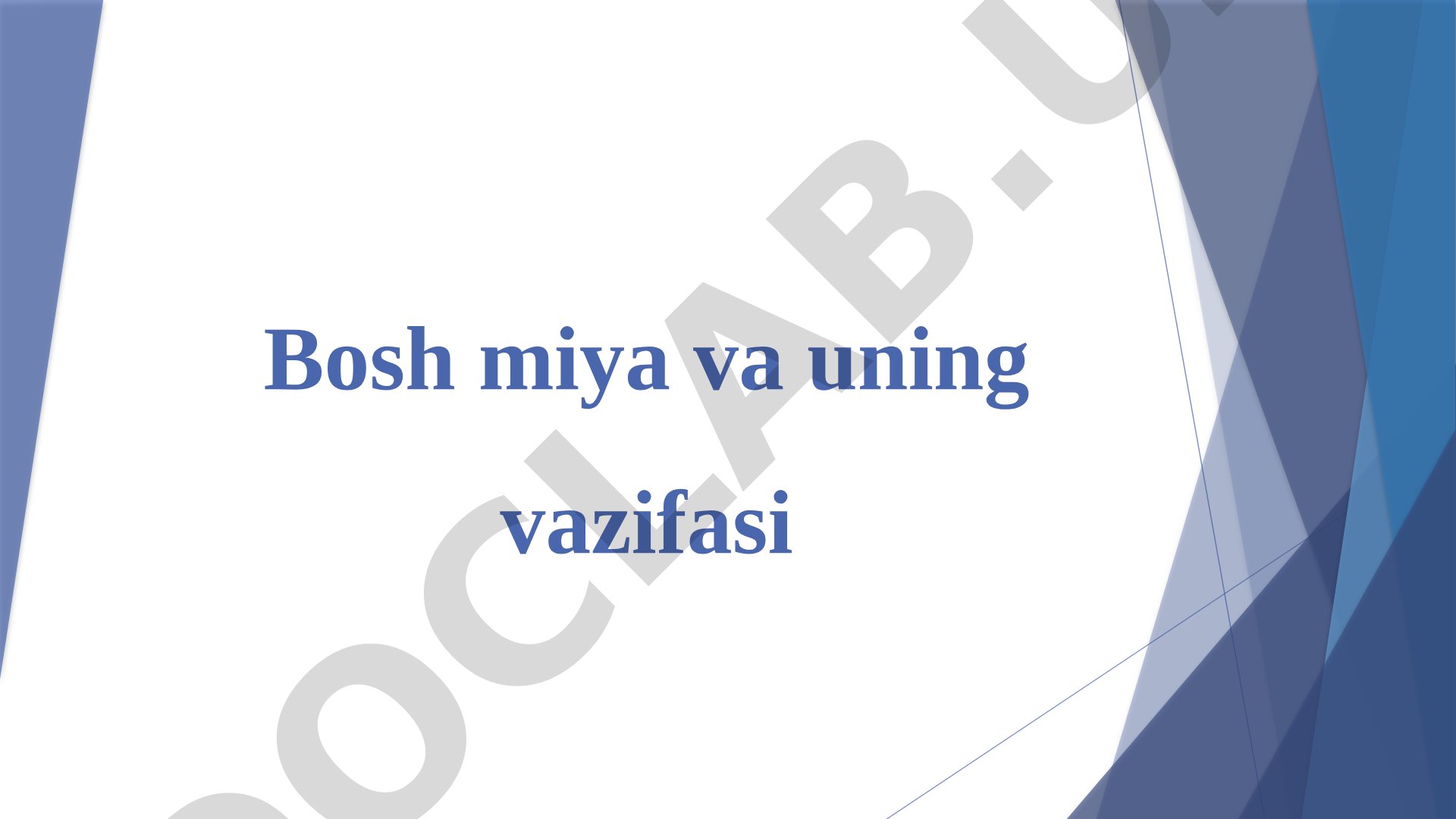 Bosh miya tuzilishi va vazifalari