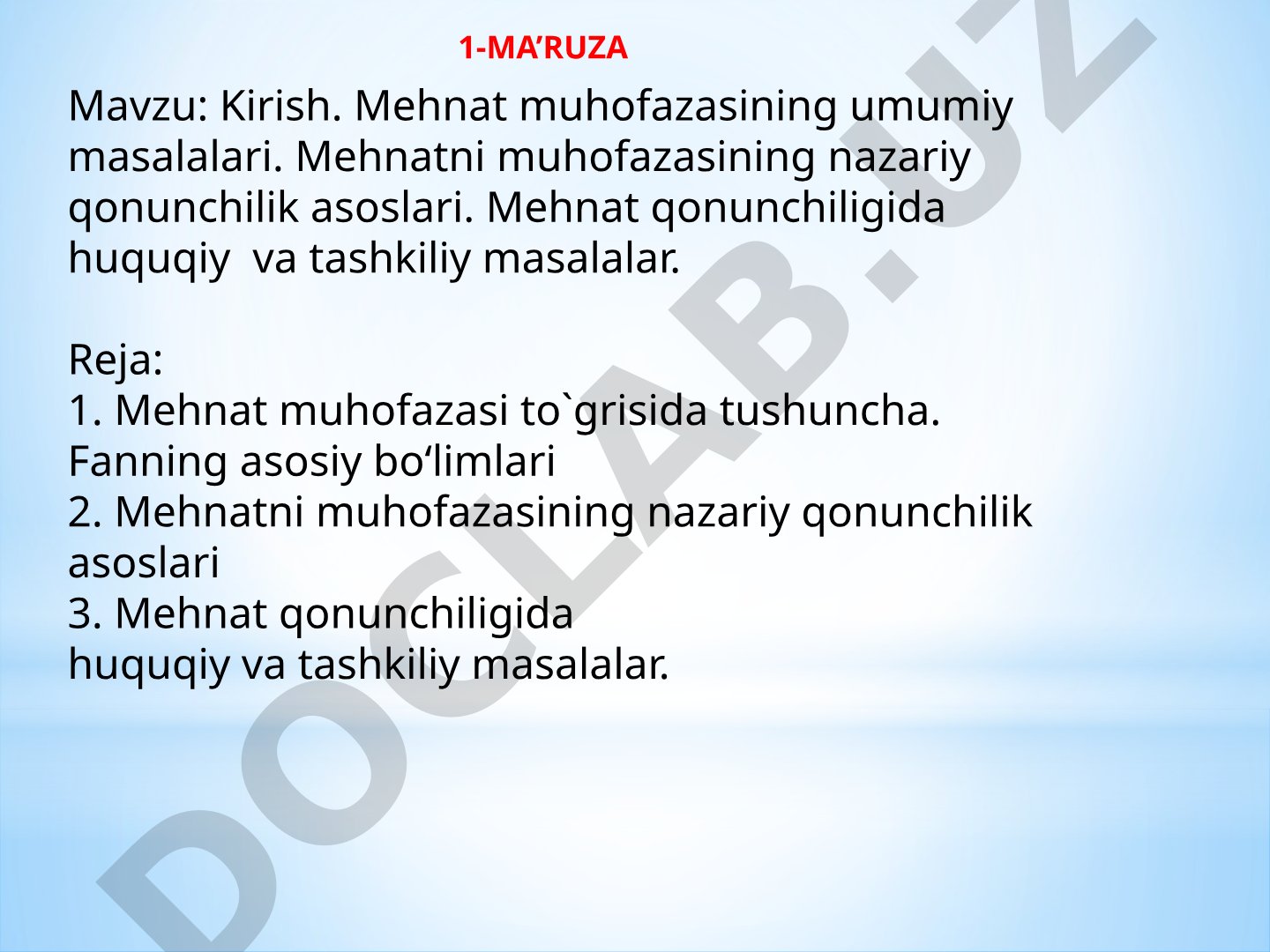 Mehnat Muhofazasi Ma'ruzasi