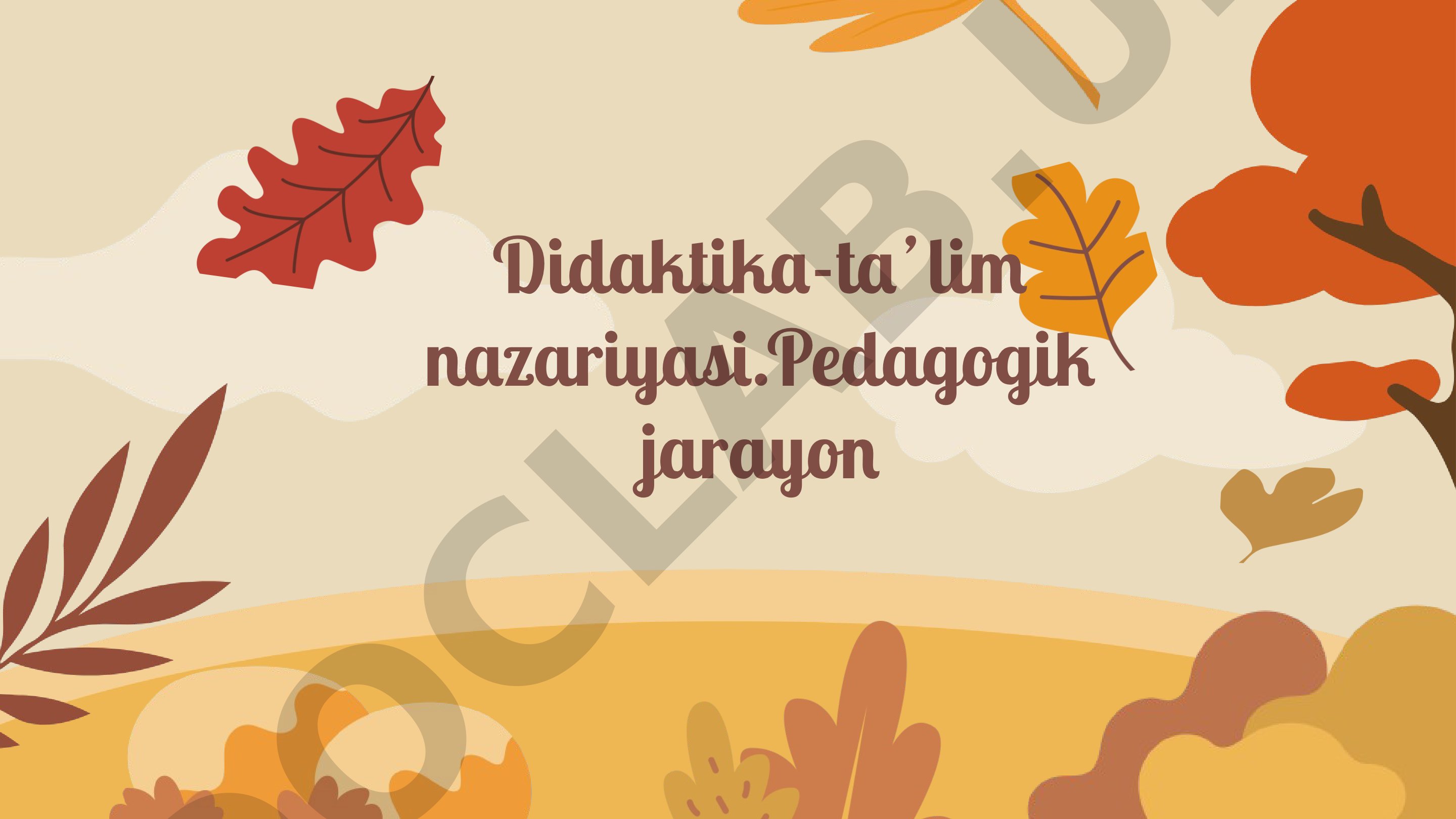 Didaktika va Ta'lim Nazariyasi