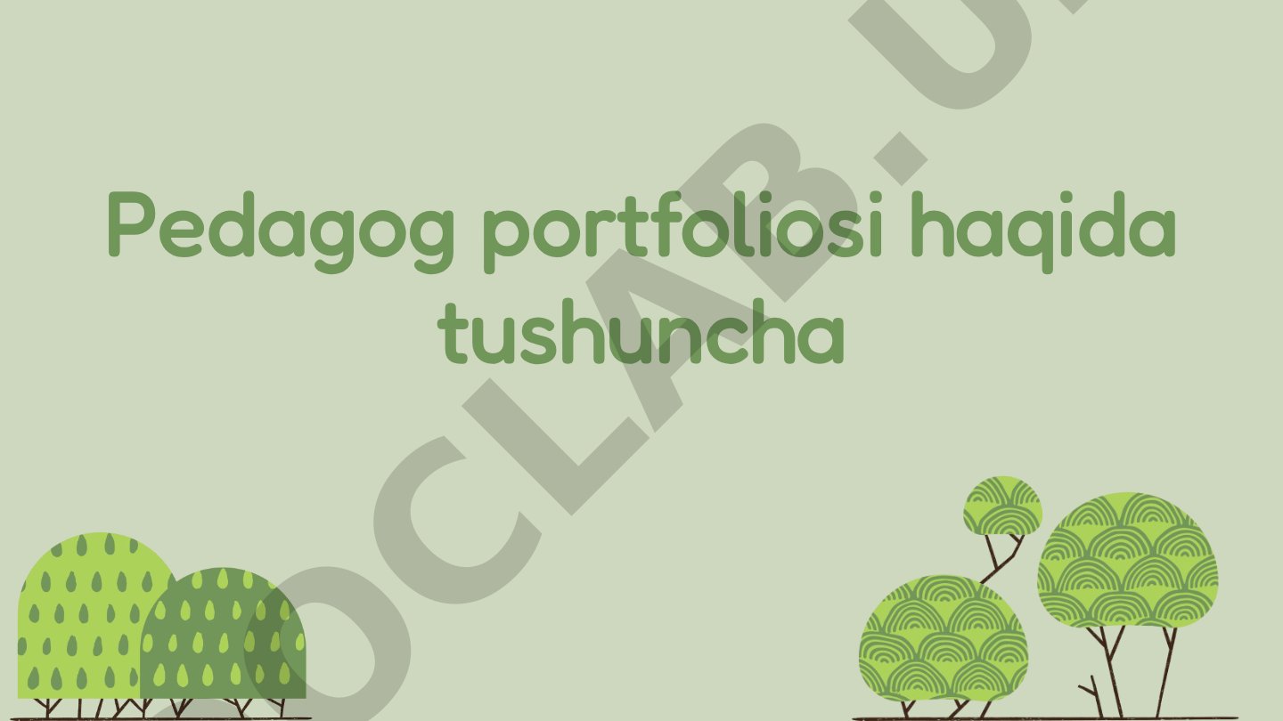 Pedagog Portfoliolari