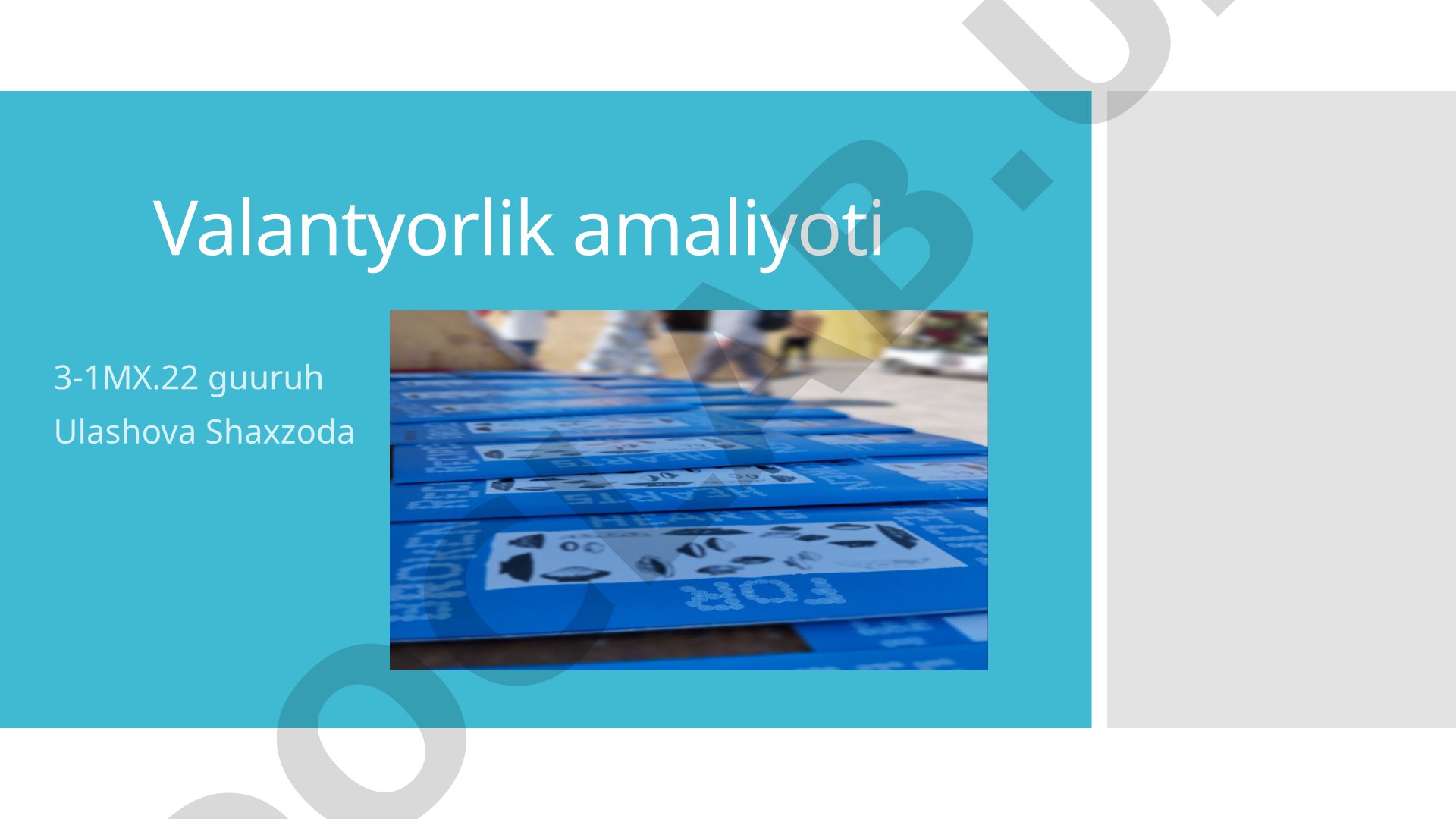 Buxoro Festivali Valantyorlik Amaliyoti