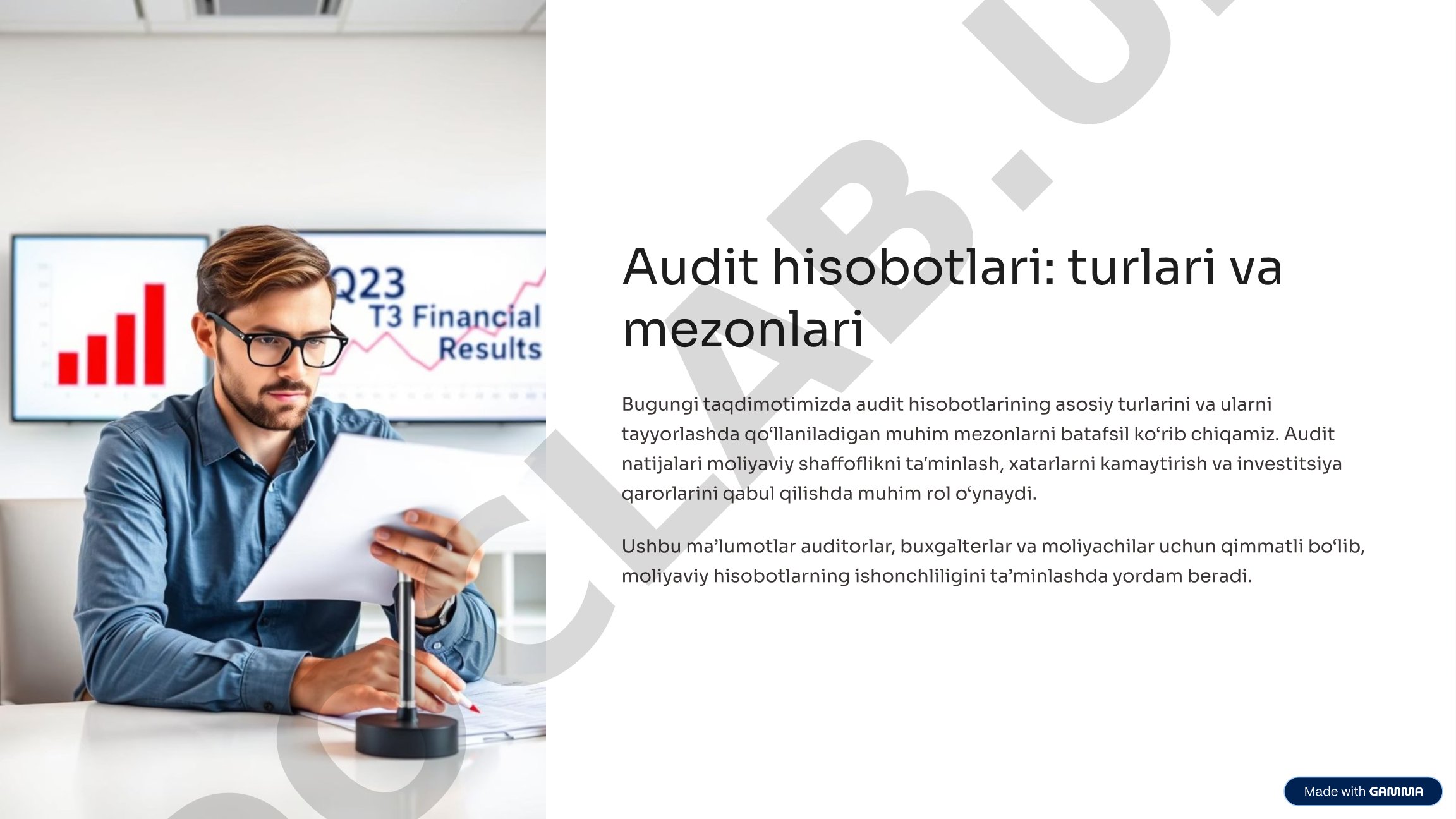 Audit hisobotlari