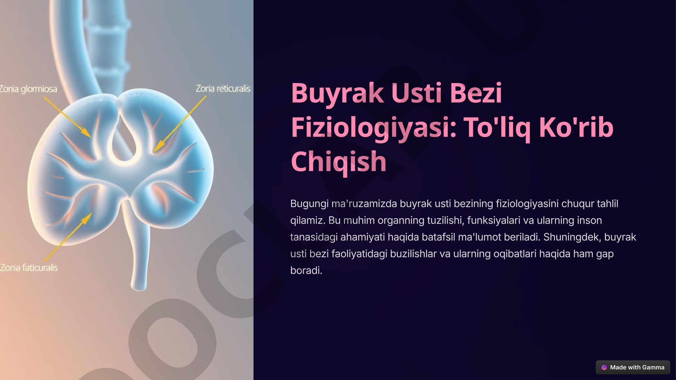 Buyrak Usti Bezi Fiziologiyasi