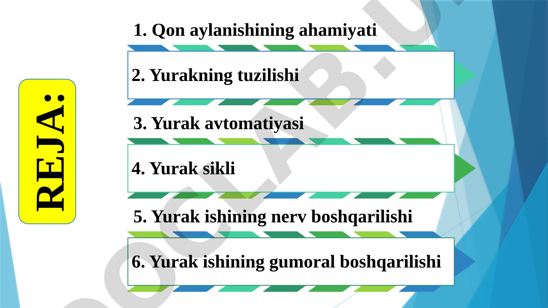 Yurak va Qon Aylanishi Rejasi