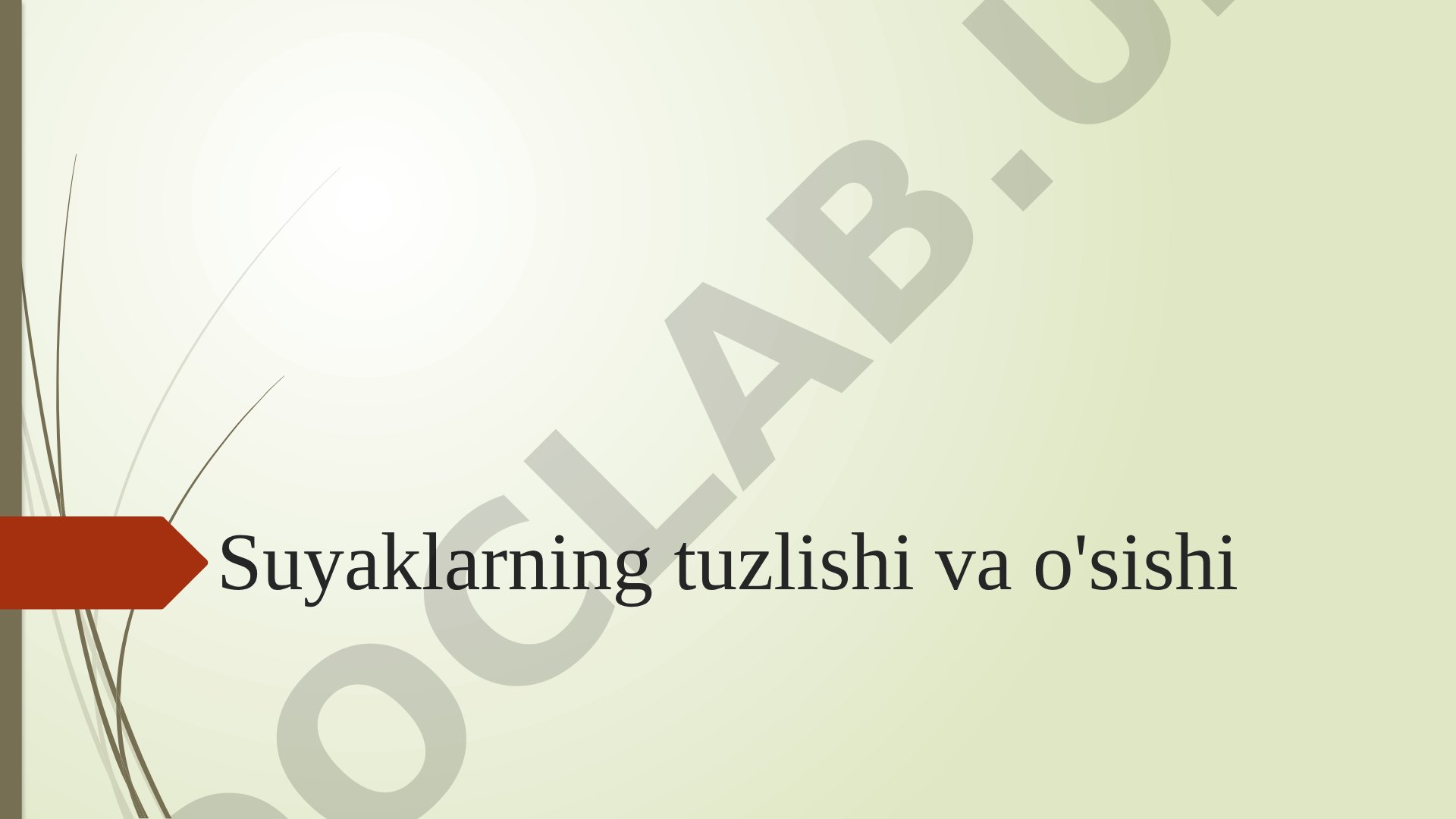 Suyaklar Tuzilishi va O'sishi