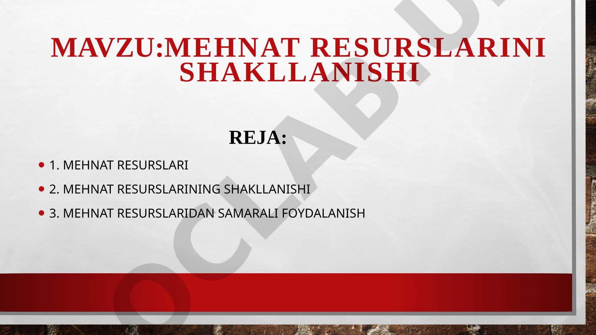 Mehnat Resurslari