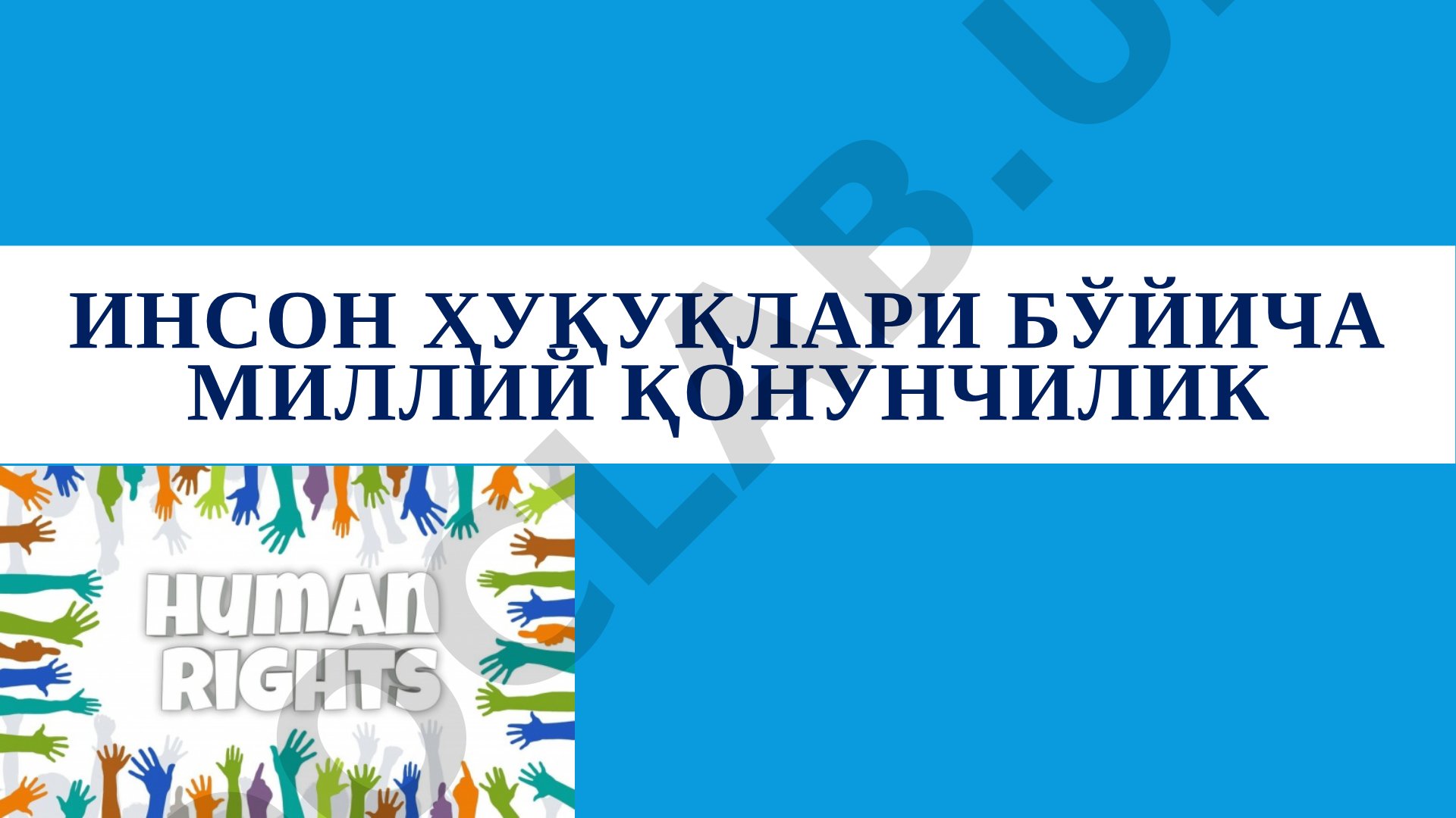Inson huquqlari bo'yicha milliy qonunchilik rejasi