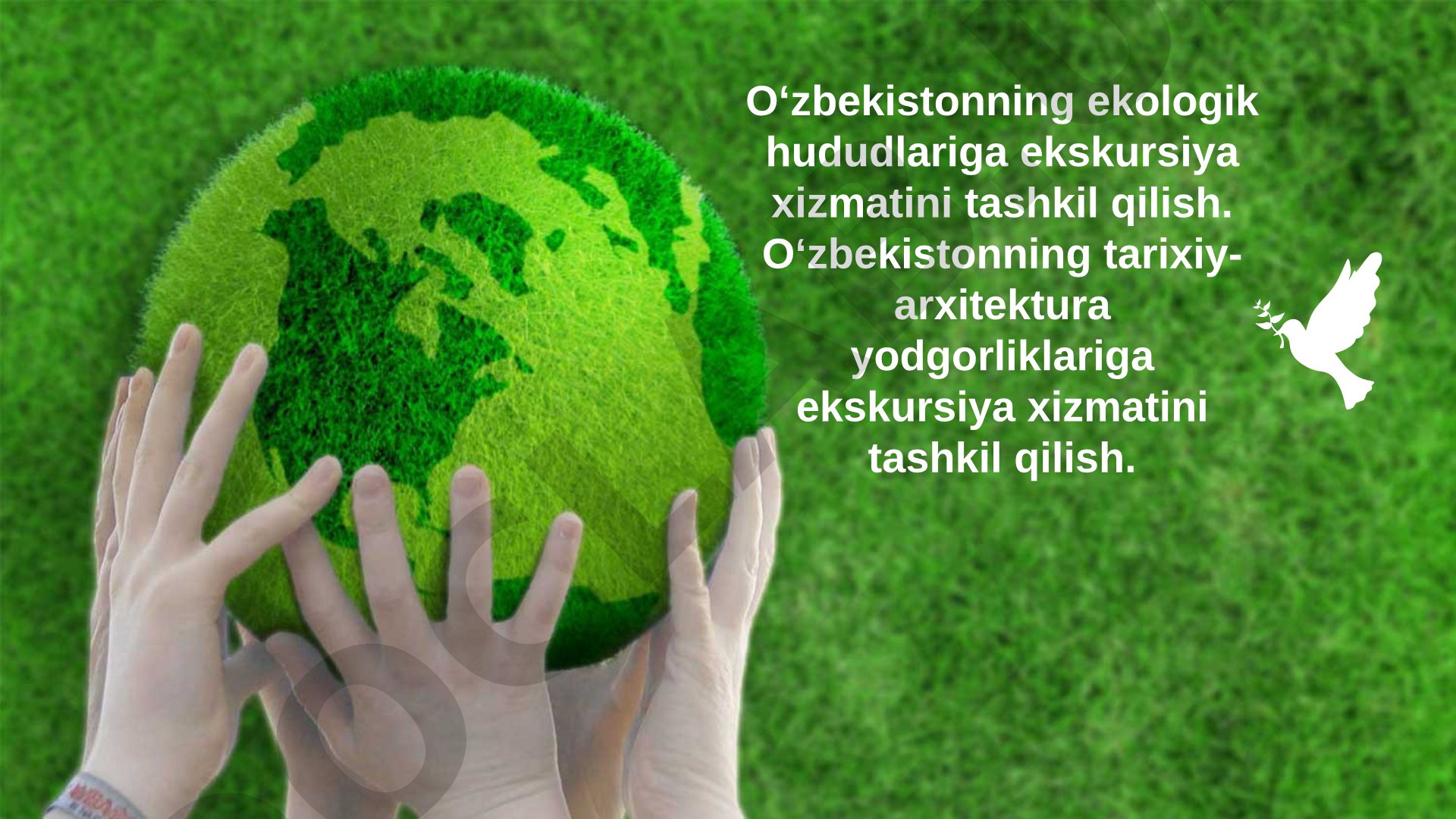 O'zbekiston Ekologik va Tarixiy Ekskursiya Loyihasi