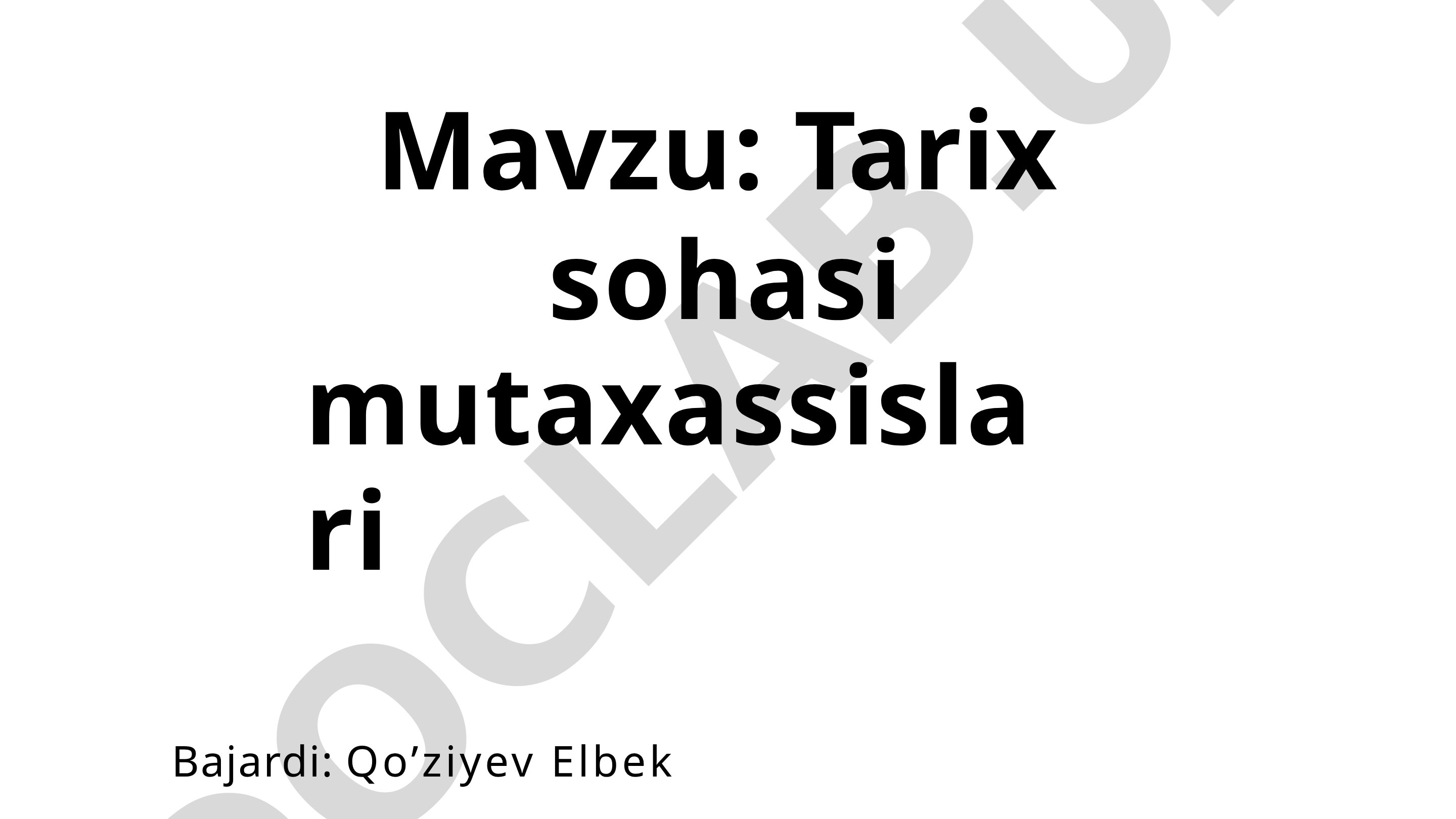 Tarix sohasi mutaxassislari