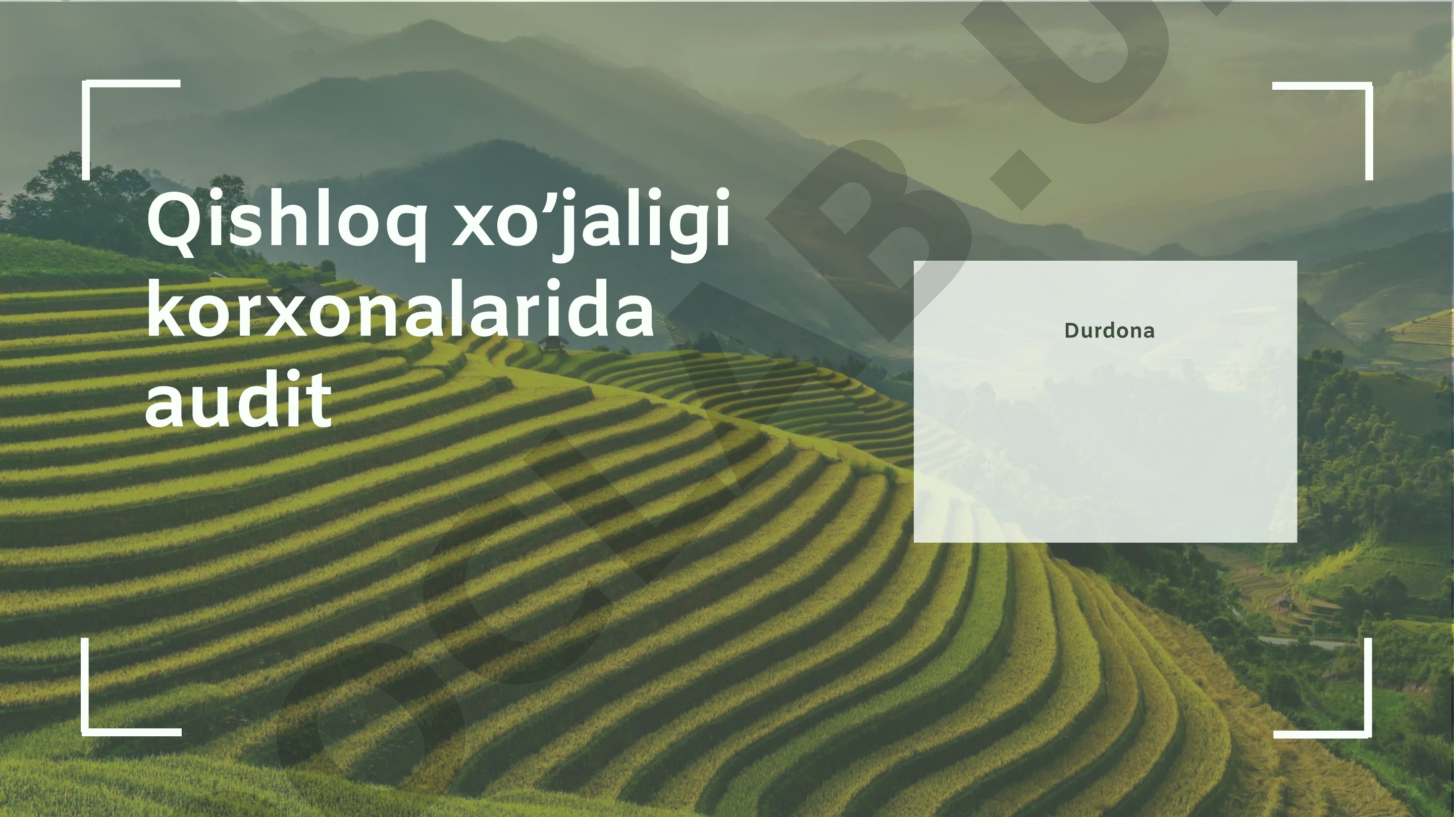 Qishloq xo'jaligi korxonalarida audit