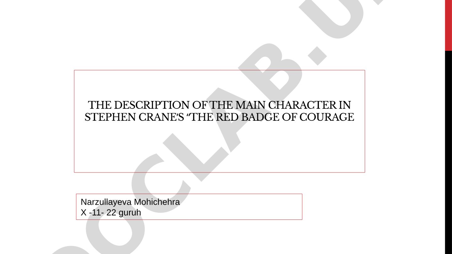 The Red Badge of Courage main character analysis