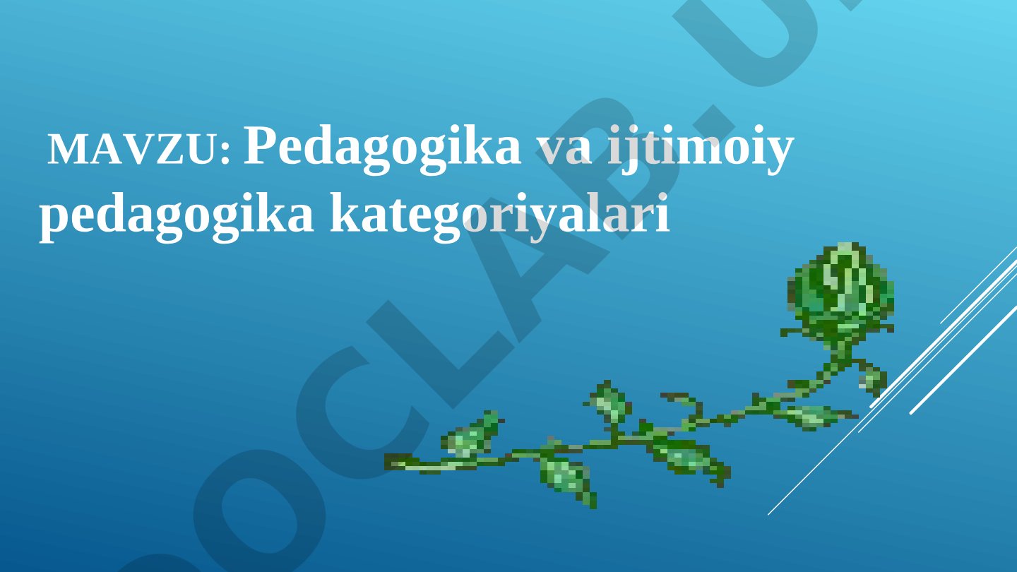 Pedagogika va ijtimoiy pedagogika kategoriyalari