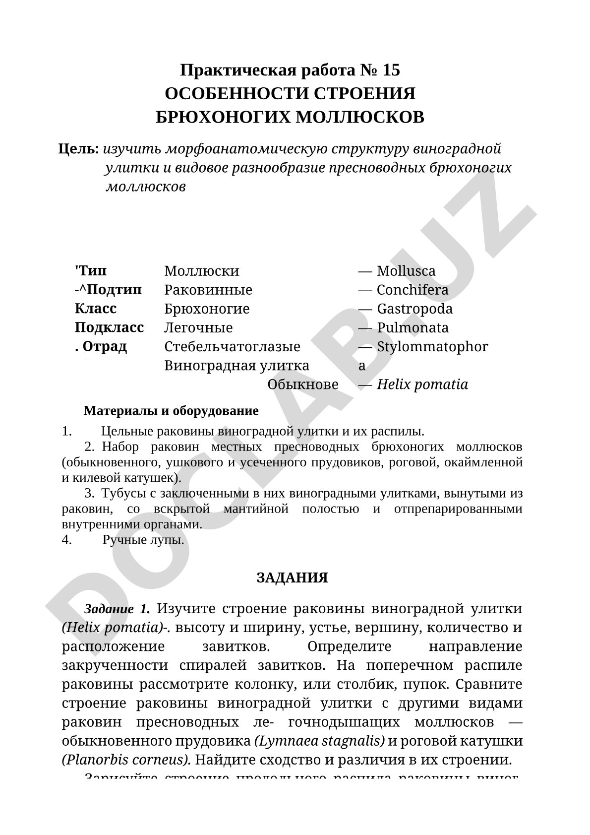 Особенности строения брюхоногих моллюсков