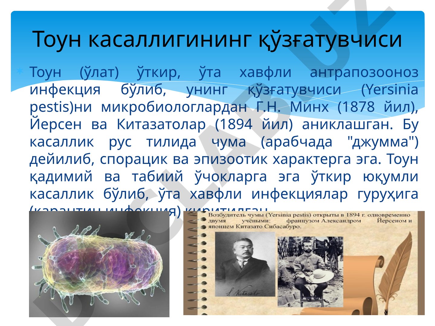 Тоун (чума) касаллигининг тарихи ва эпидемиологияси