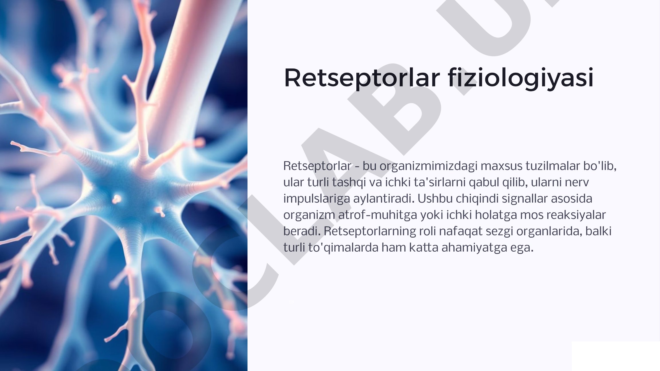 Organizm retseptorlari, ularning turlari, tuzilishi va funksiyalari haqida