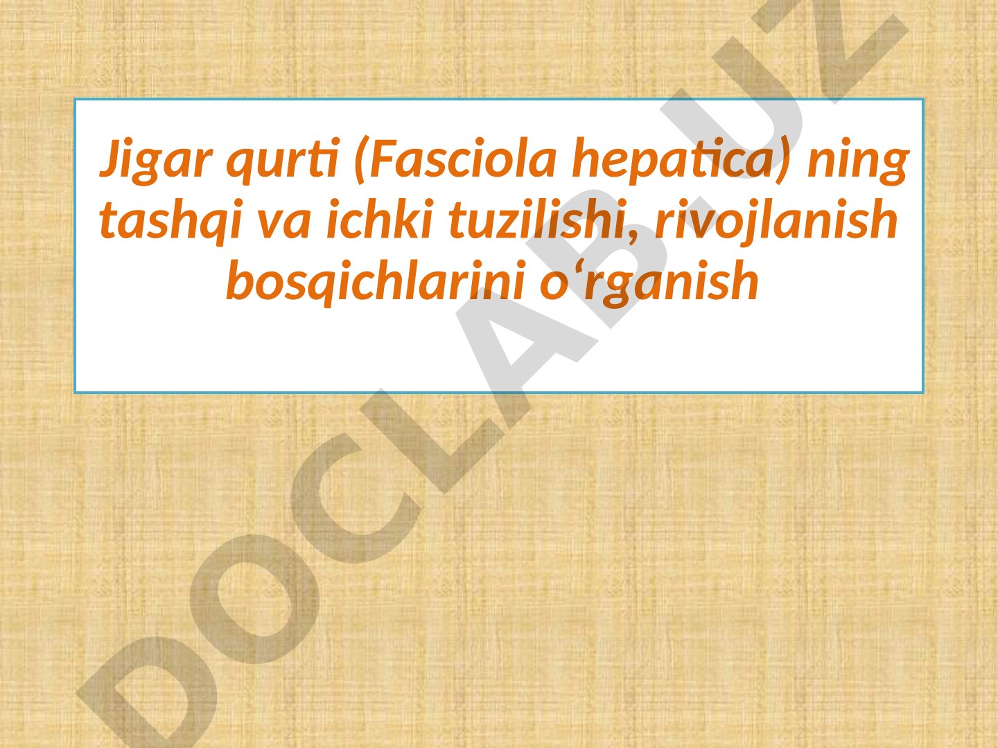 Jigar qurti (Fasciola hepatica) ning tashqi va ichki tuzilishi