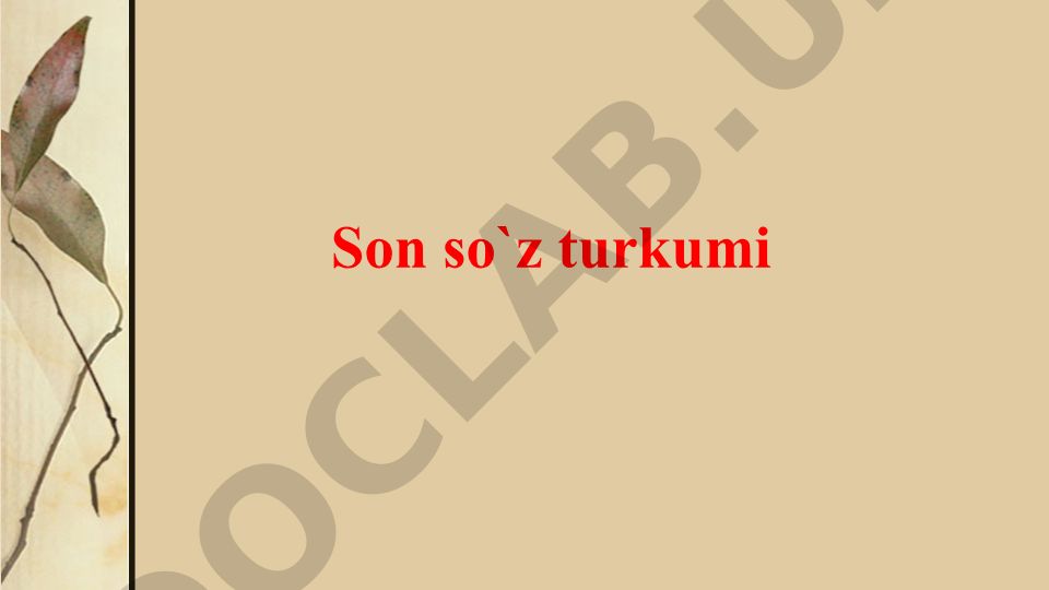 Son so'z turkumi va uning turlari