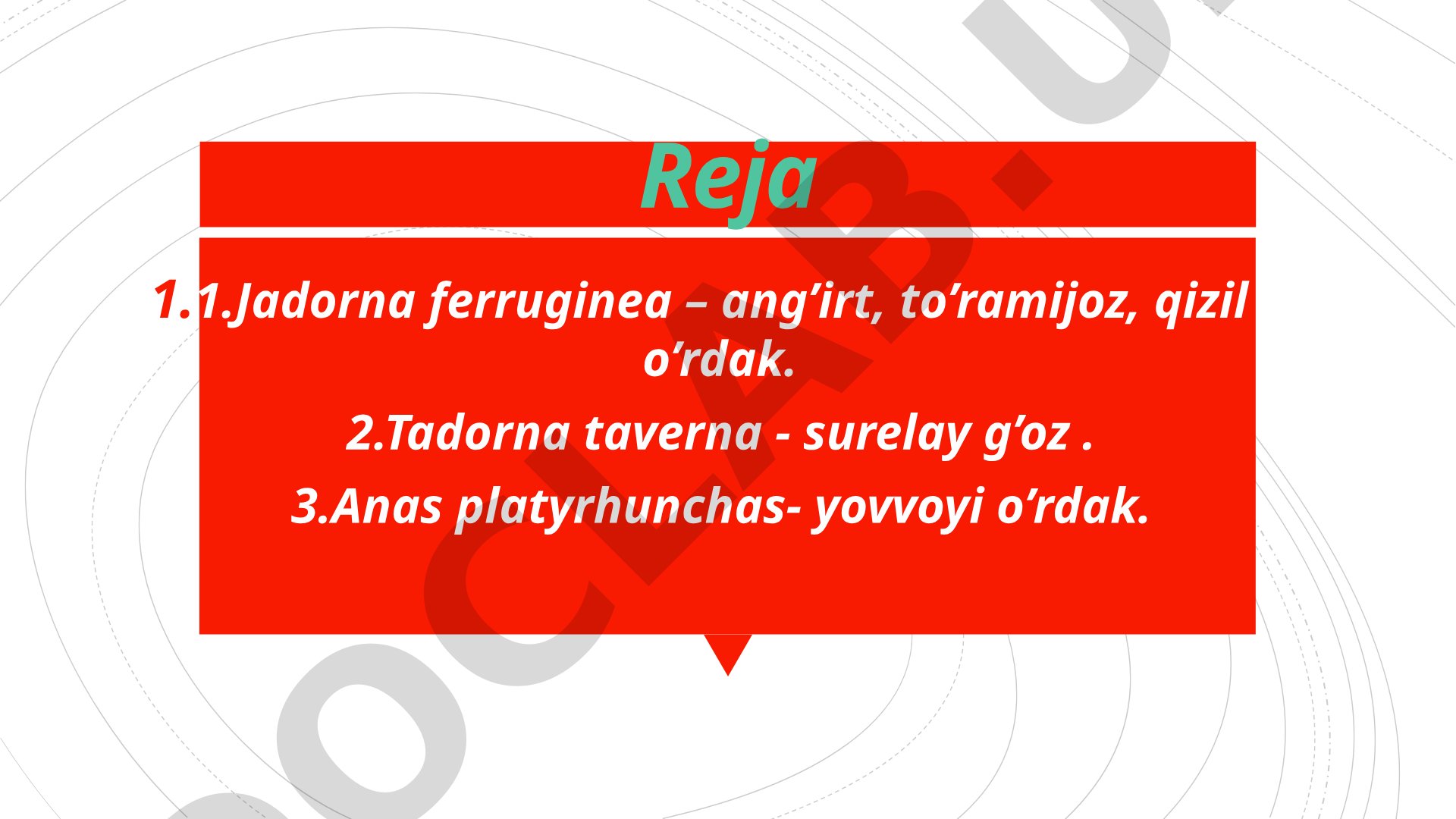 Ang'irt va suralay g'ozlar