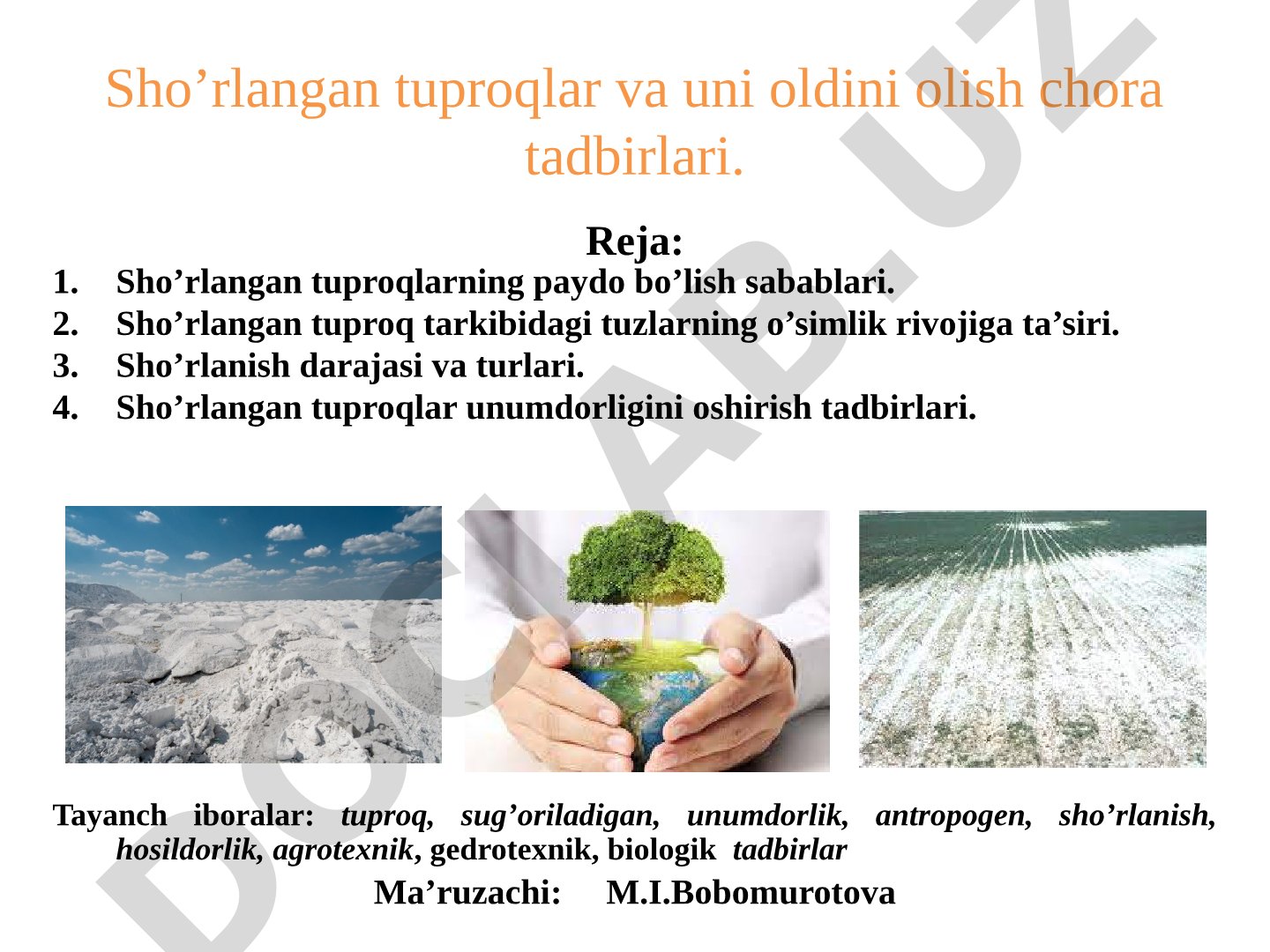 Sho'rlangan tuproqlar va uni oldini olish chora tadbirlari