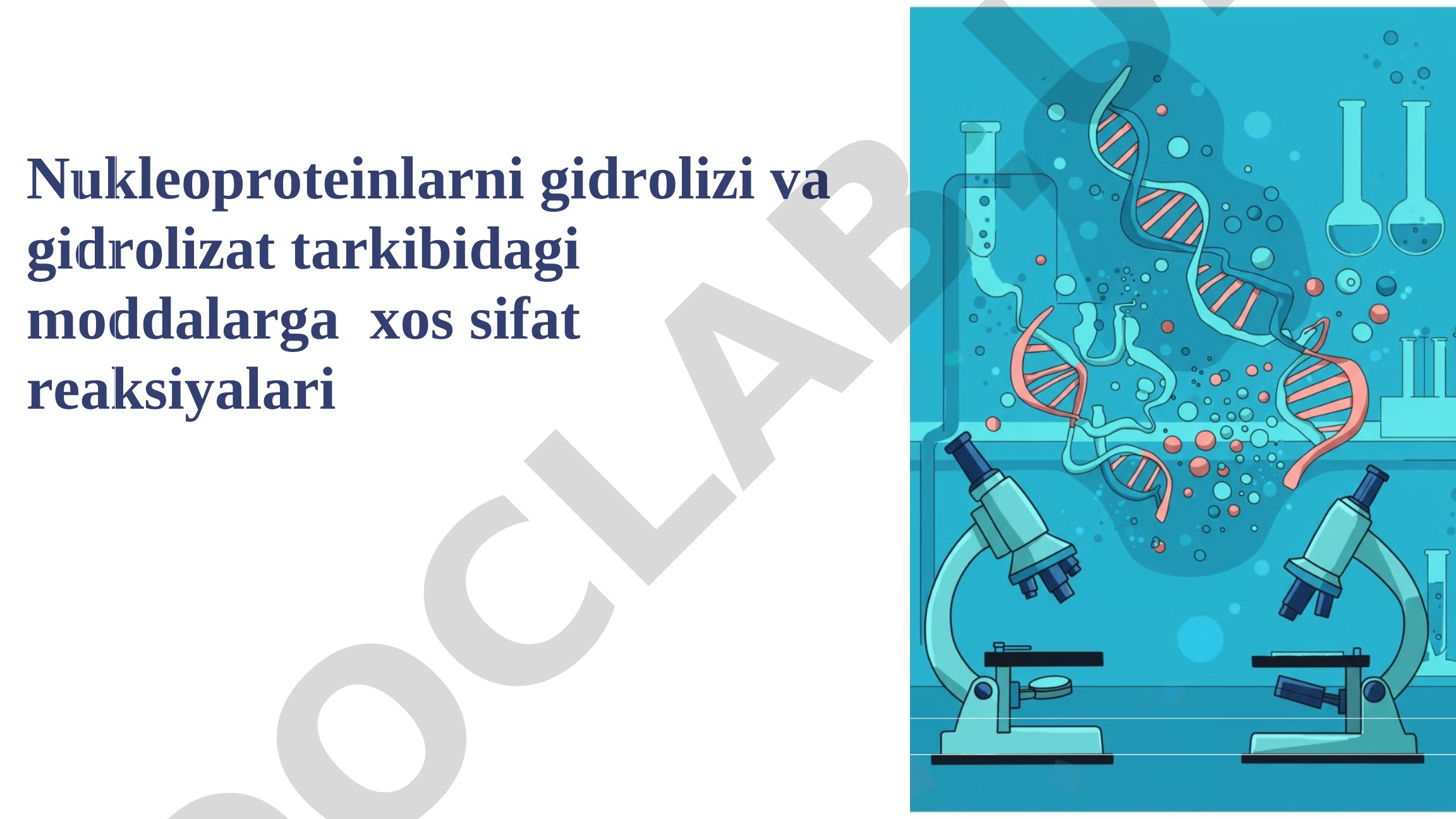 Nukleoproteinlarni gidrolizi va gidrolizat tarkibidagi moddalarga xos sifat reaksiyalari