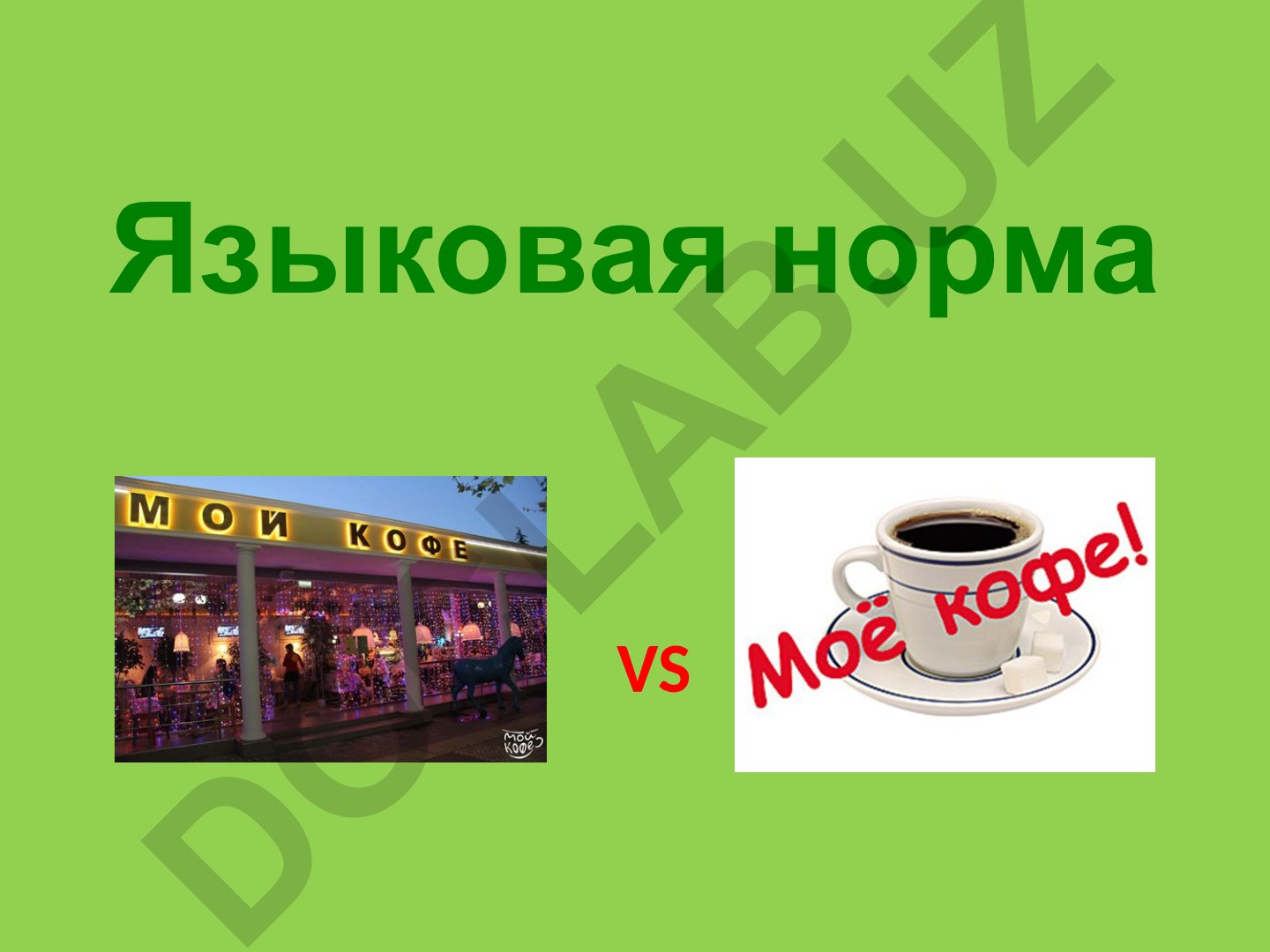 Языковая норма: понятие, источники и современные процессы кодификации