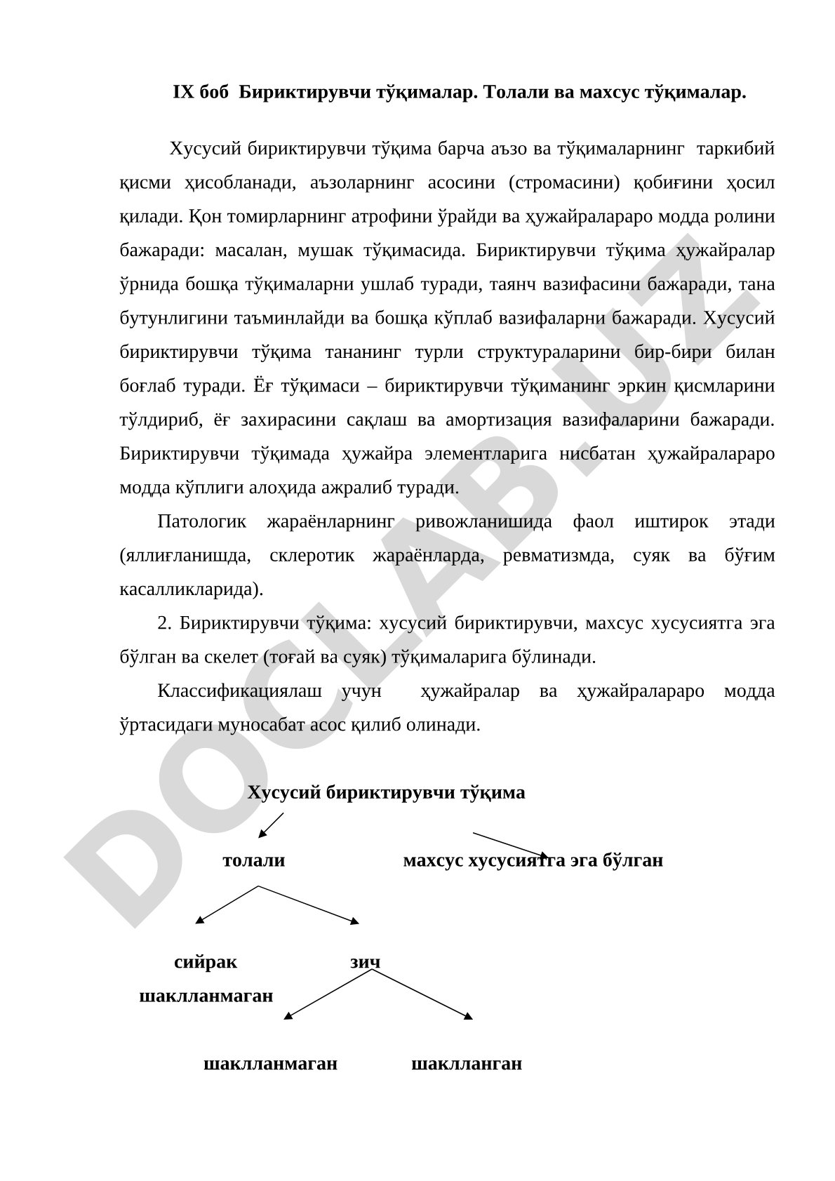 Бириктирувчи тўқималар: толали ва махсус тўқималар
