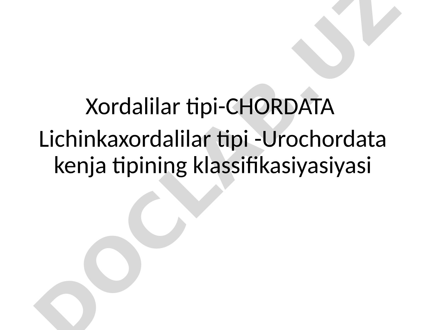 Xordalilar tipi-CHORDATA Lichinkaxordalilar tipi -Urochordata kenja tipining klassifikasiyasiyasi
