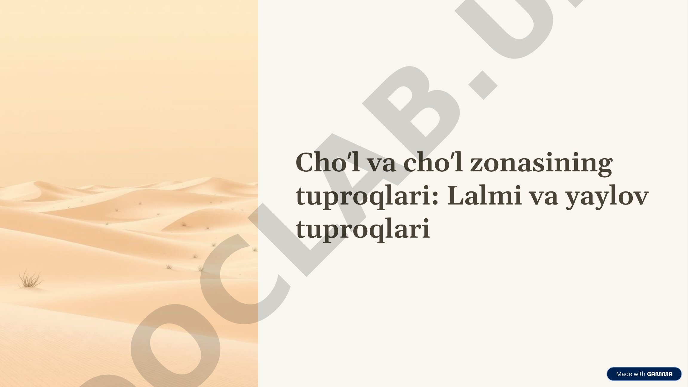 Cho'l va cho'l zonasining tuproqlari: Lalmi va yaylov tuproqlari