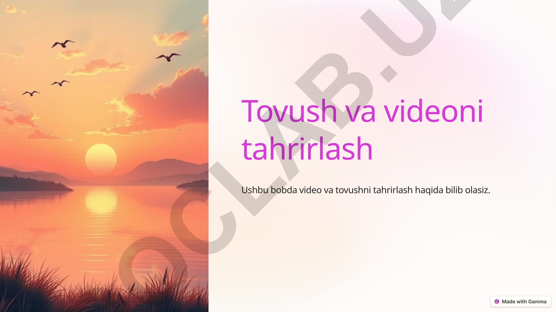 Video va tovushni tahrirlash
