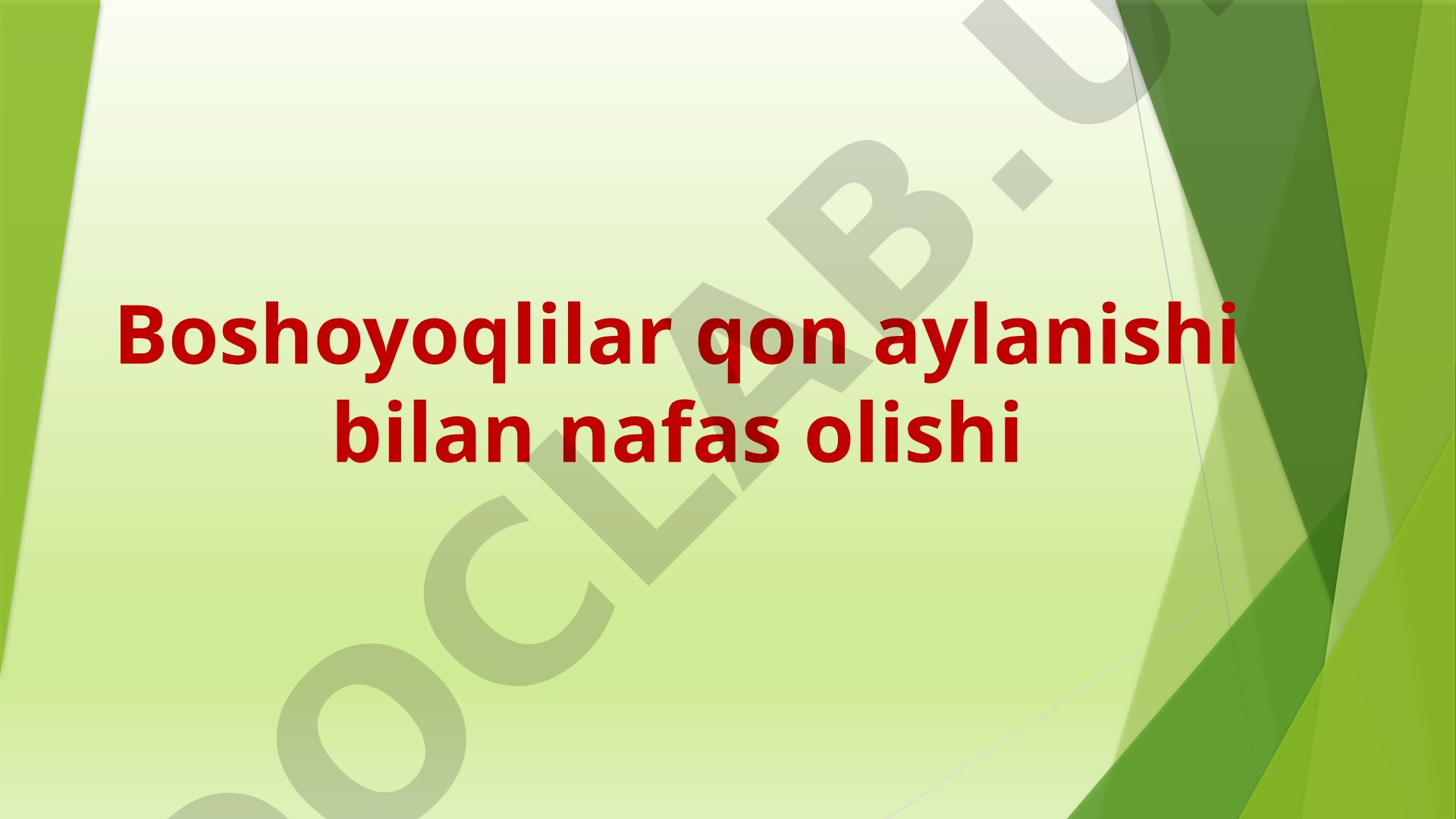 Boshoyoqlilar qon aylanishi bilan nafas olishi