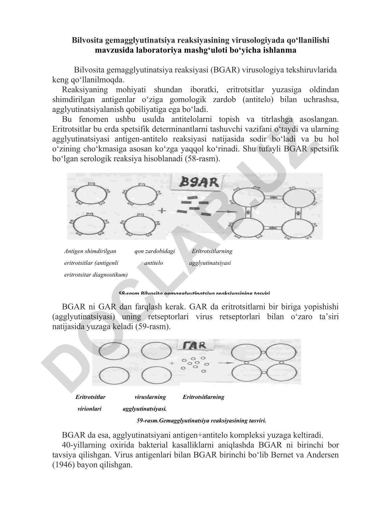 Bilvosita gemagglyutinatsiya reaksiyasining virusologiyada qo‘llanilishi