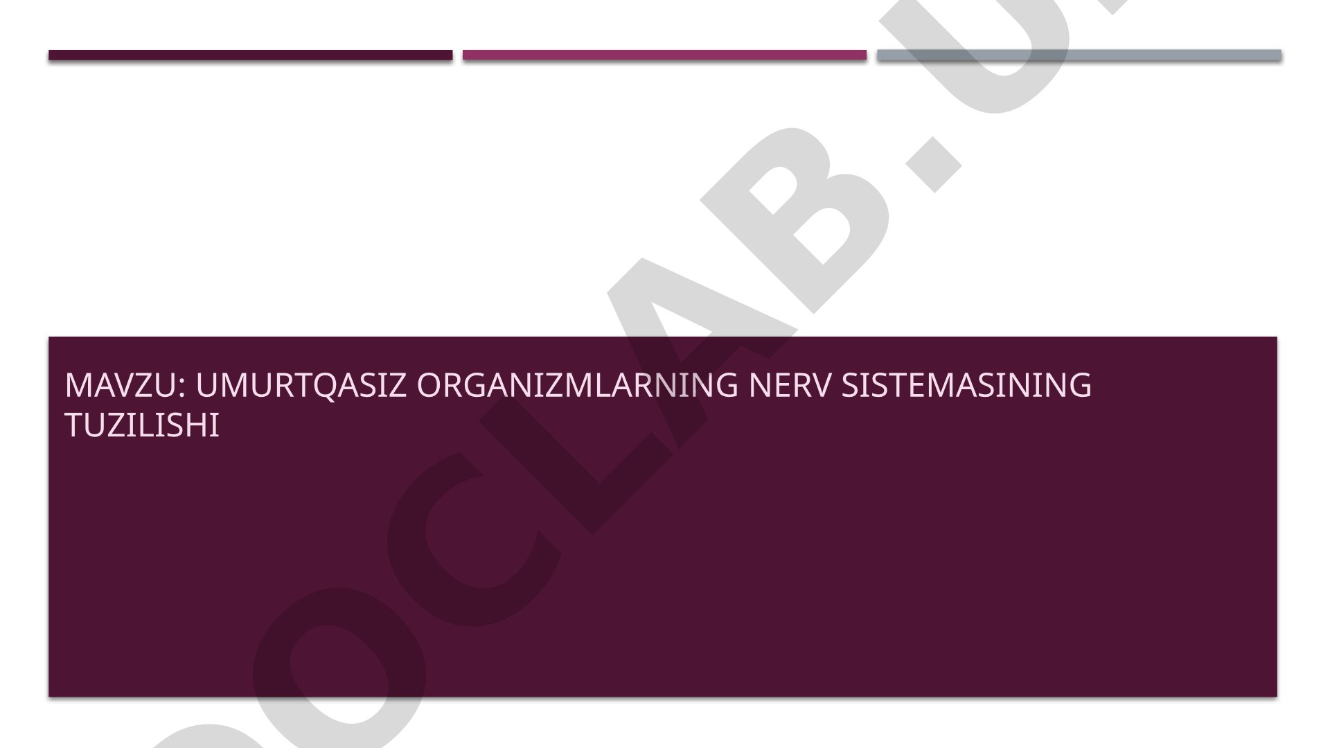 Umurtqasiz organizmlarning nerv sistemasining tuzilishi