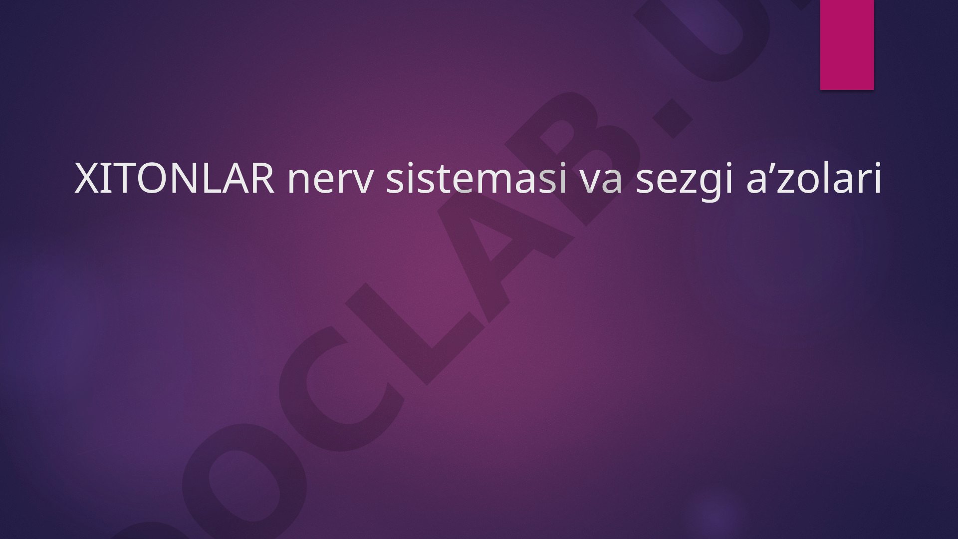 Xitonlarning nerv sistemasi va sezgi aʼzolari