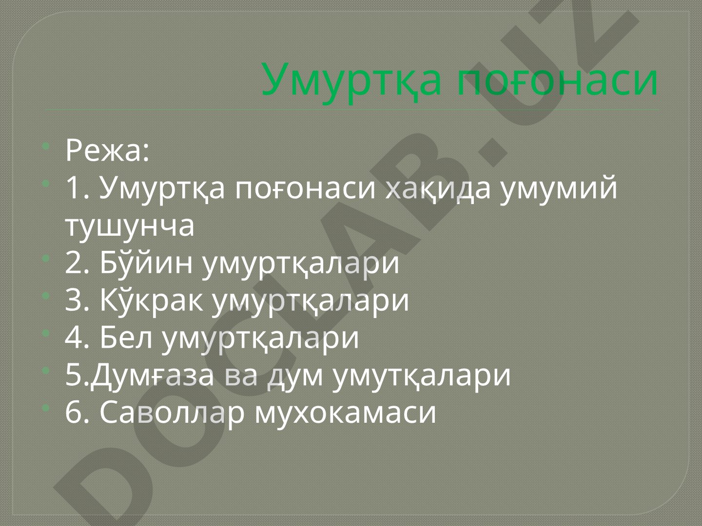 Умуртқа поғонаси