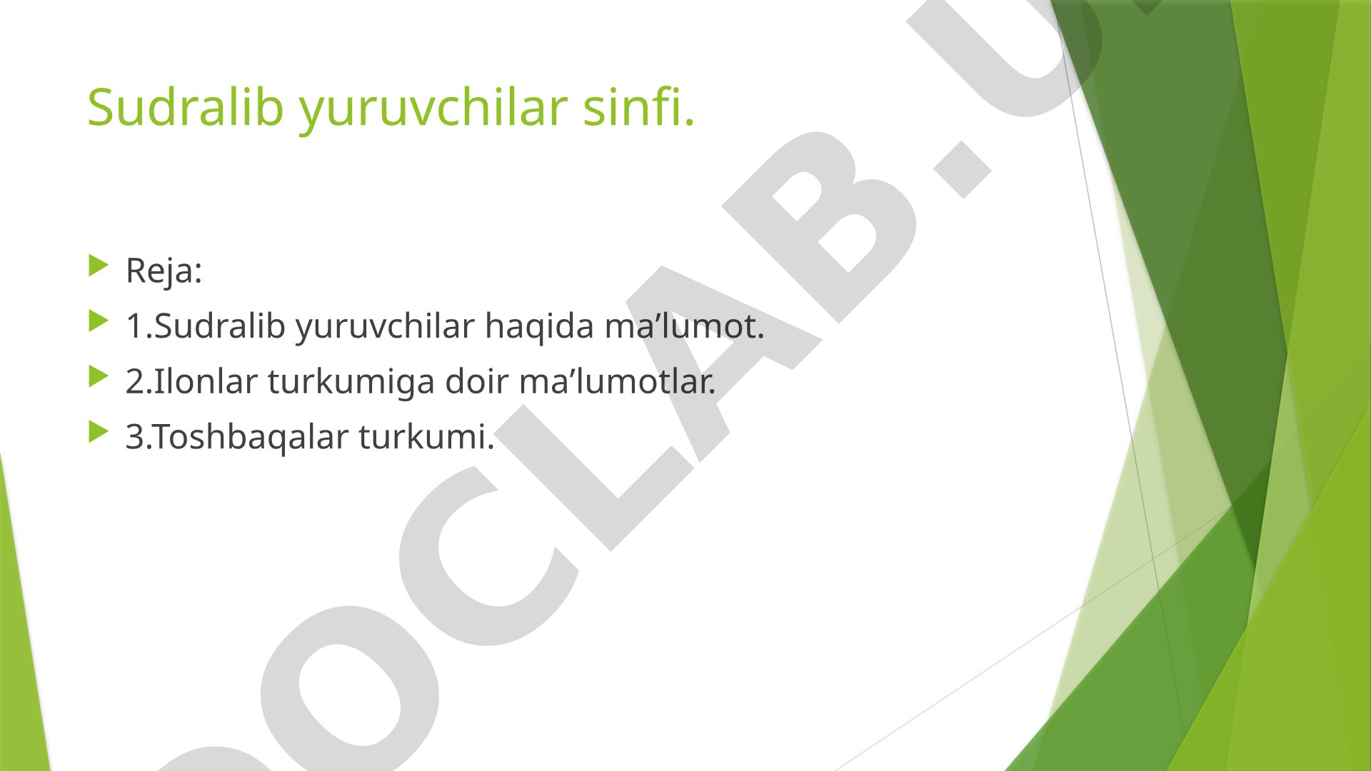 Sudralib yuruvchilar sinfi
