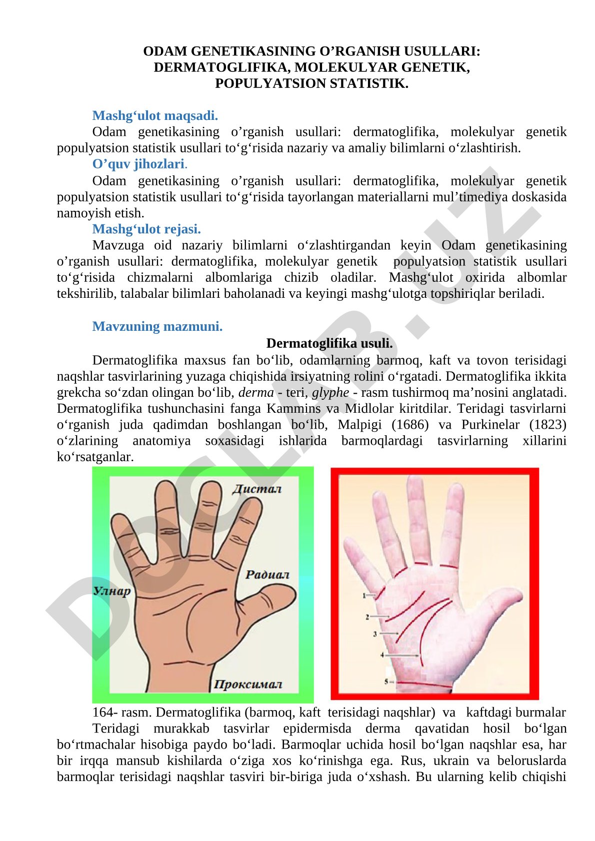 Odam genetikasining o'rganish usullari: dermatoglifika, molekulyar genetik, populyatsion statistika