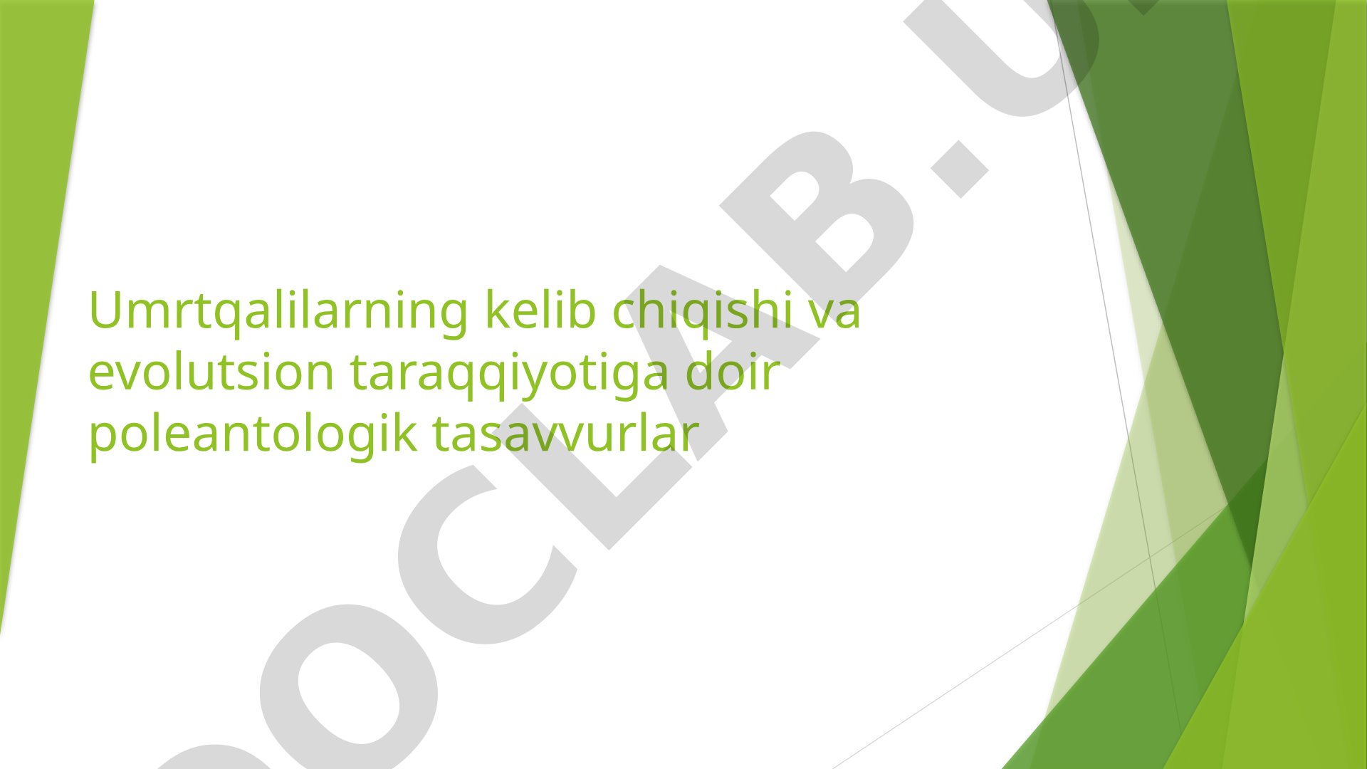 Umrtqalilarning kelib chiqishi va evolutsion taraqqiyotiga doir poleantologik tasavvurlar