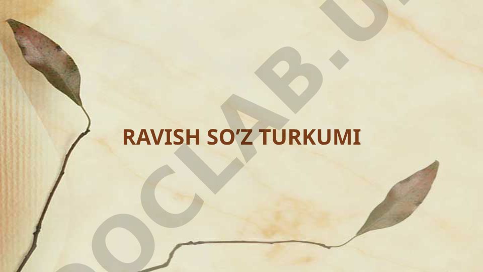 Ravish so'z turkumi